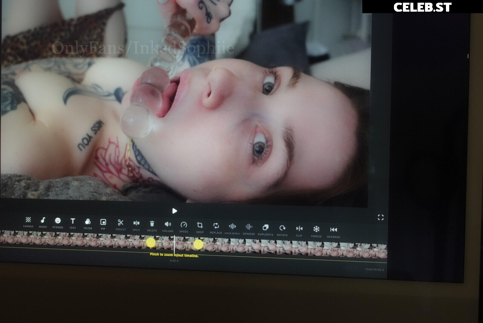 InkedSophiie Image 2358276