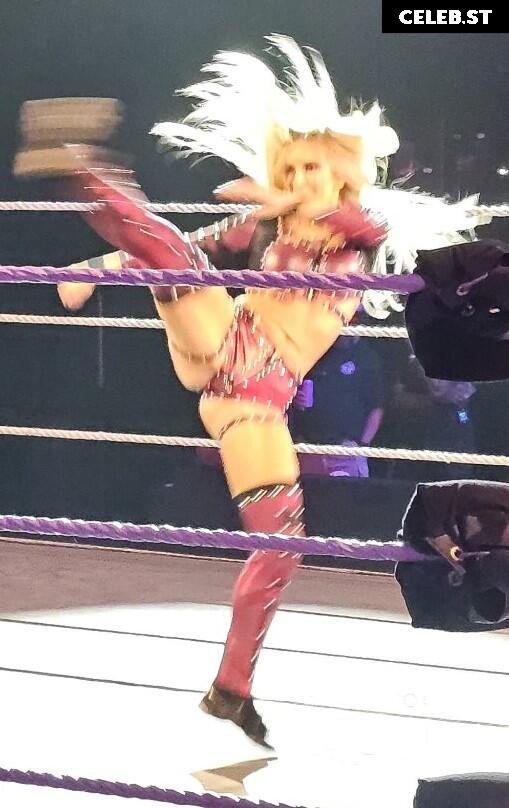 Karmen Petrovic - WWE NXT Image 23474058