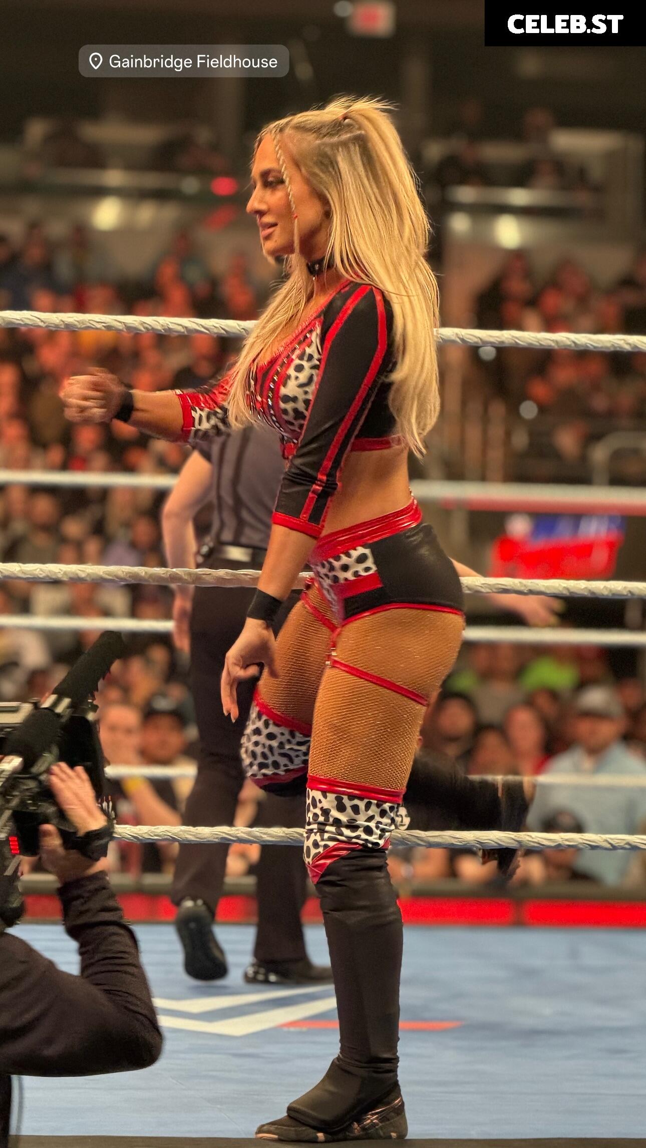 Karmen Petrovic - WWE NXT Image 23473956