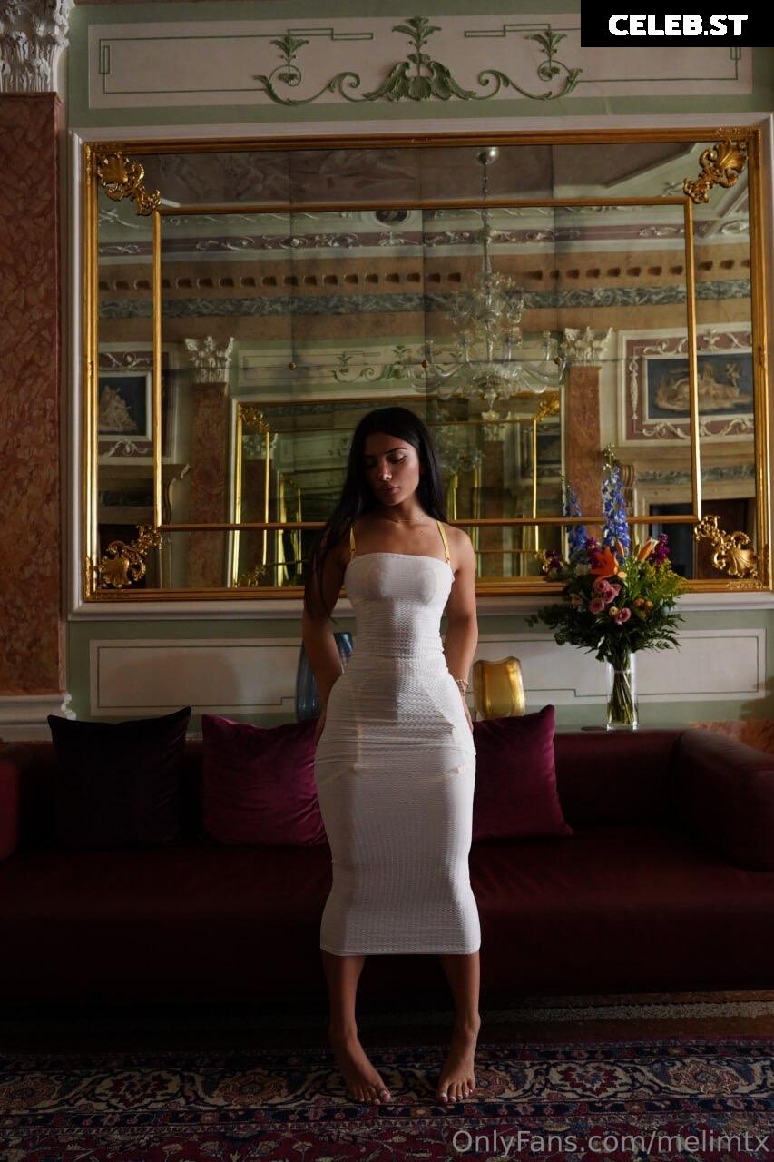 MelimTX Image 2344561