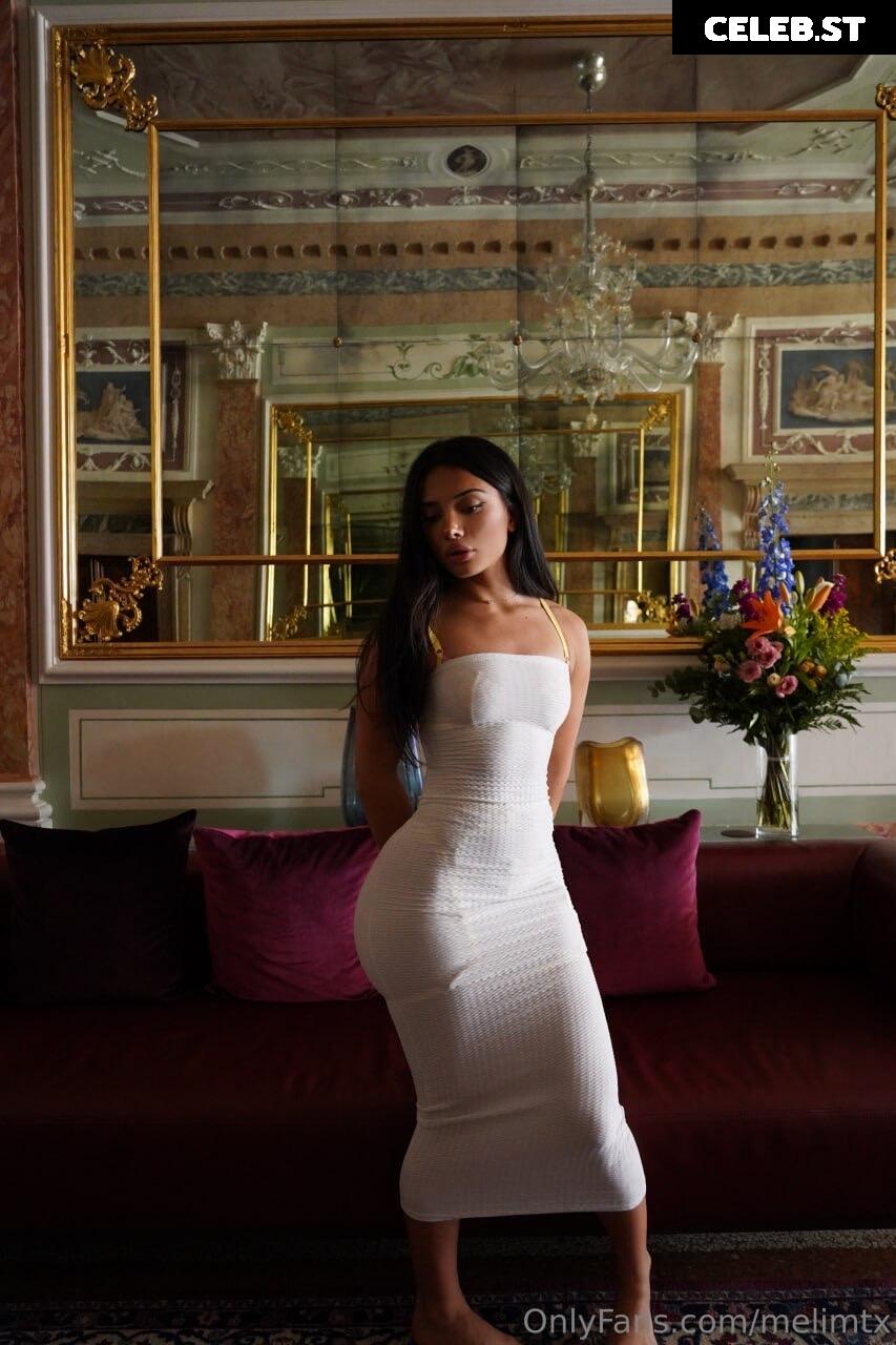 MelimTX Image 2344681