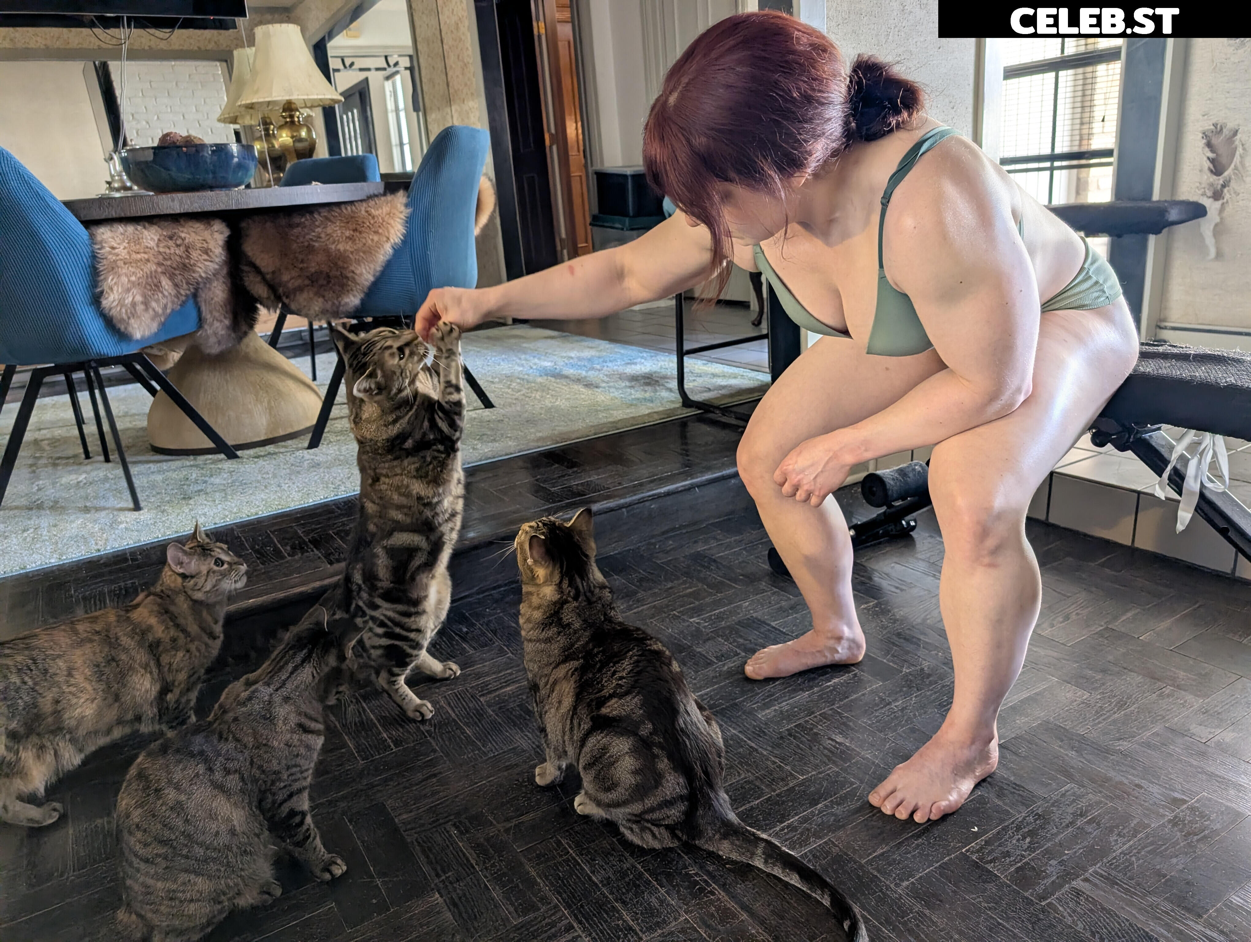 kitty_bit_games Image 23441437
