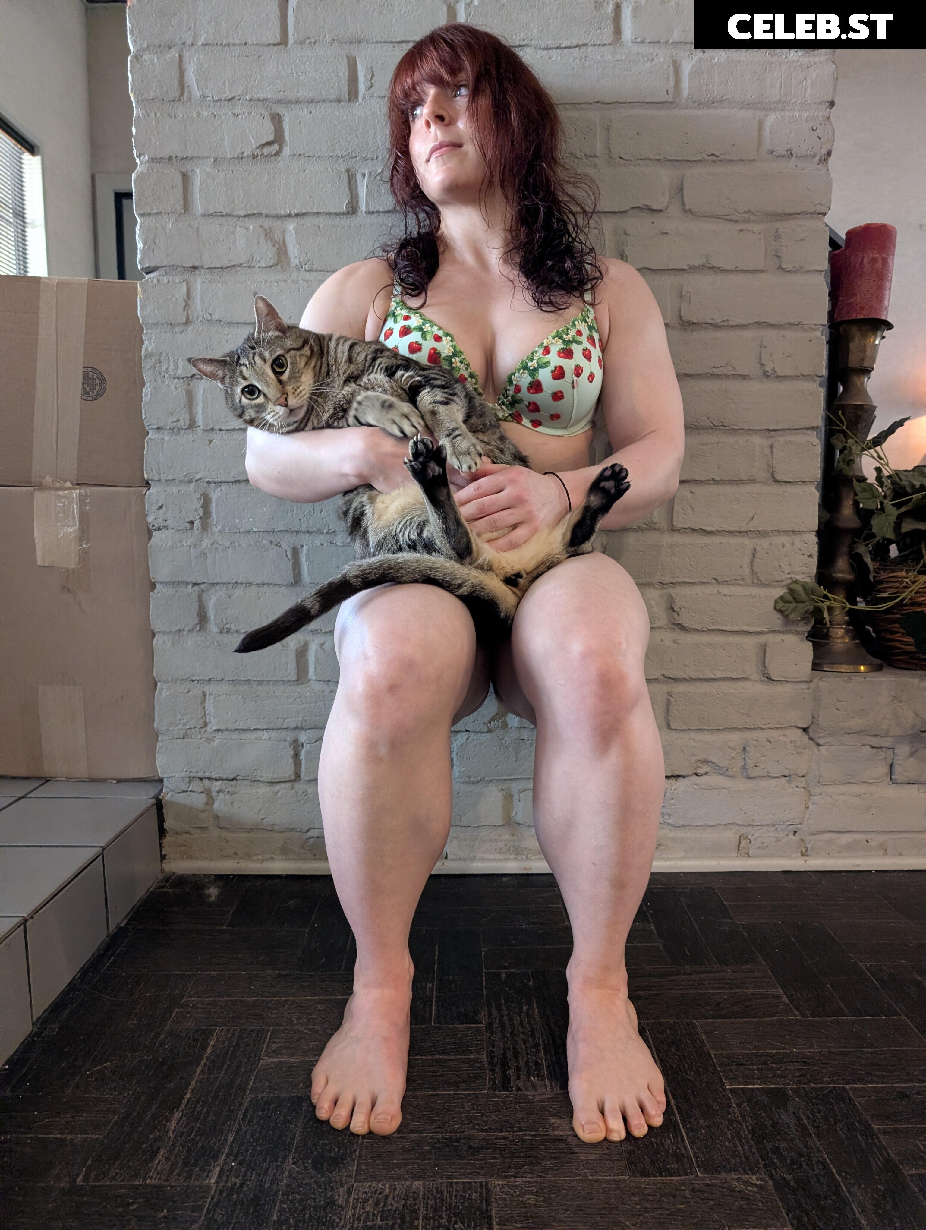 kitty_bit_games Image 23441451