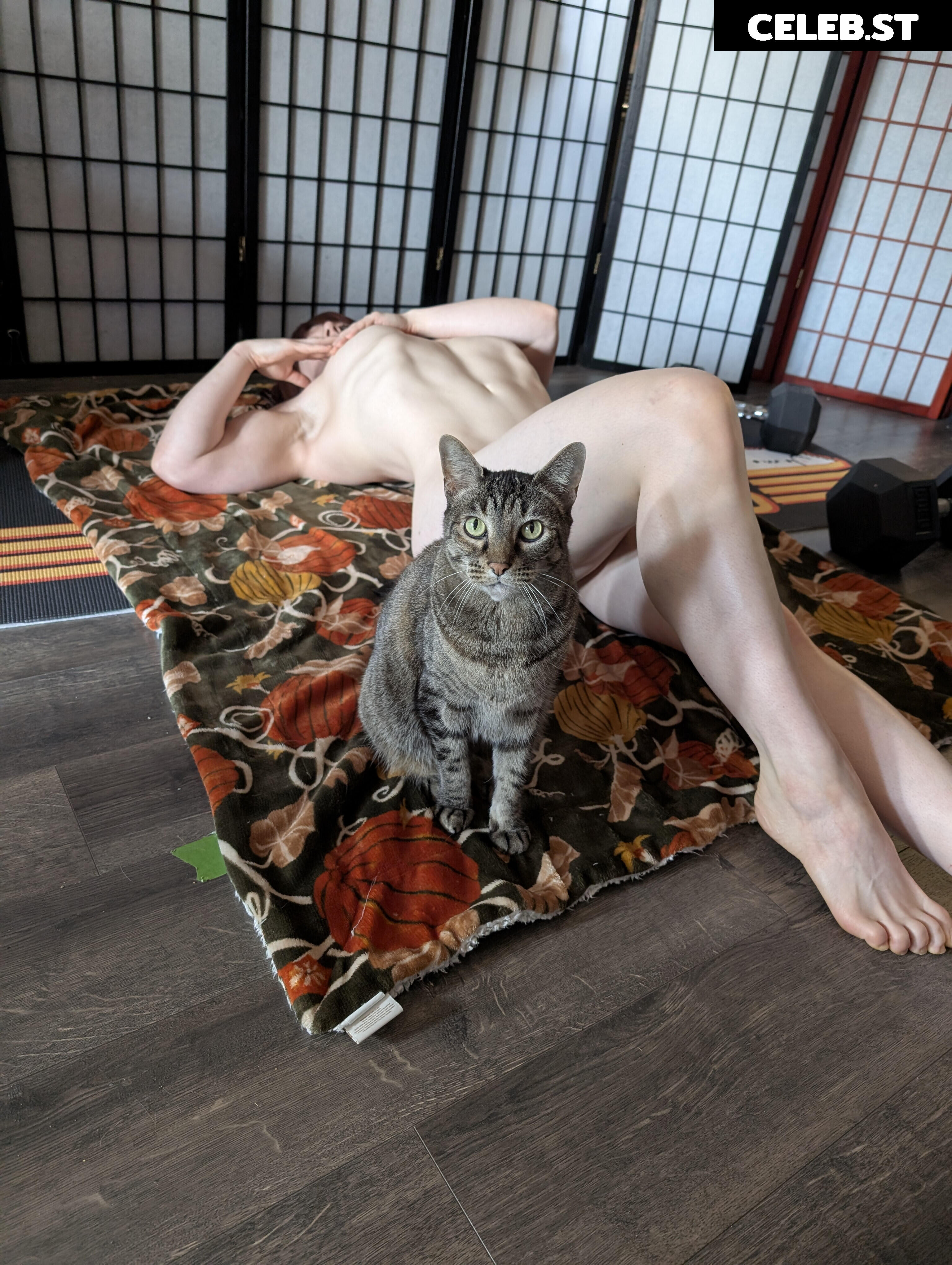 kitty_bit_games Image 23441458
