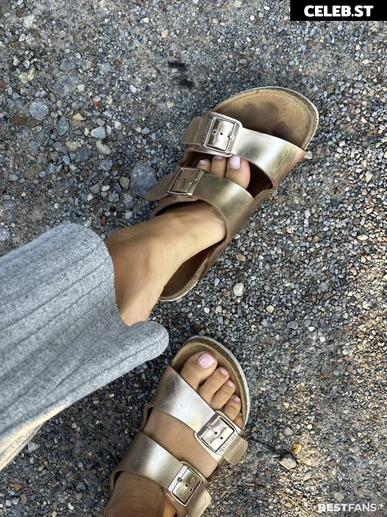 Vannmeyr Image 2341741