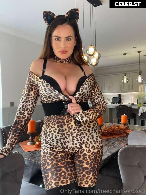 Charlie Rose Image 2341277