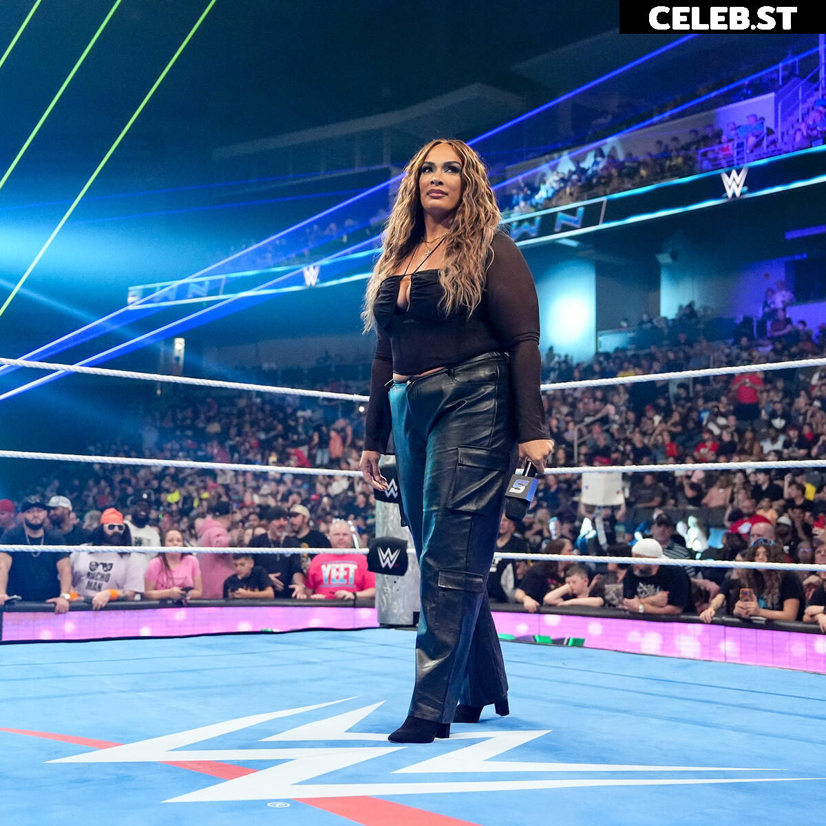 Nia Jax/Lina Fanene Image 23487440