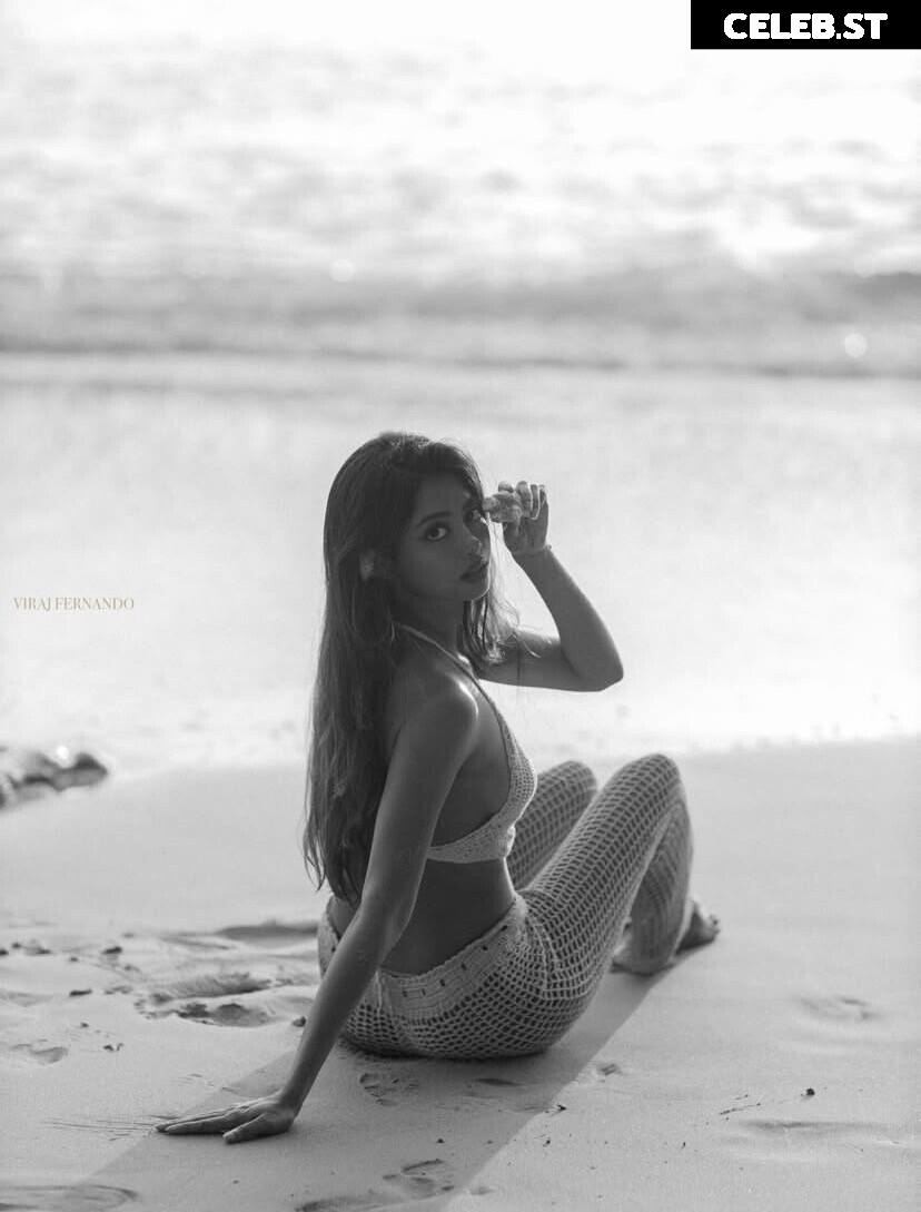 Shaun Romy Image 23352194