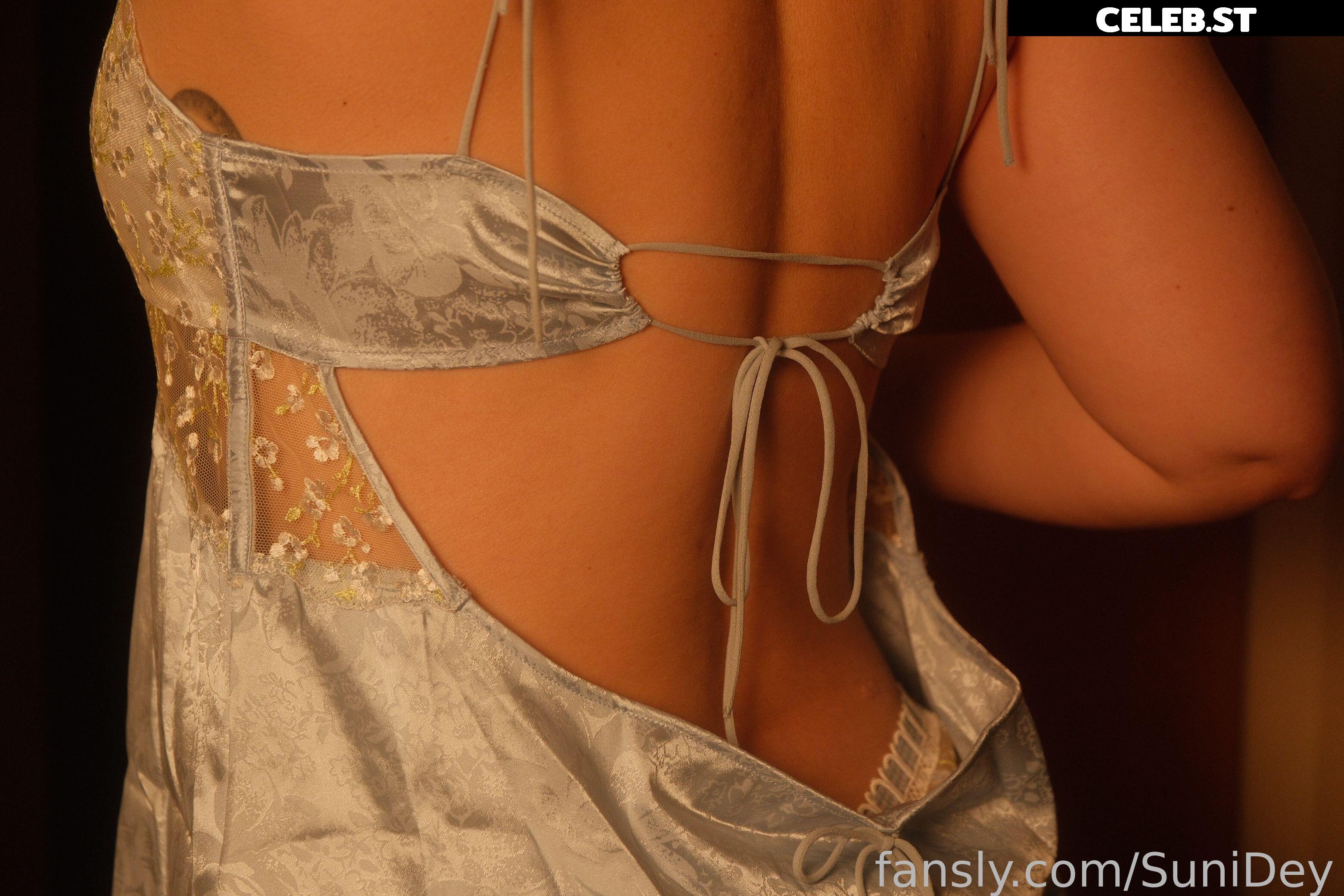 Sunidey Image 23341425