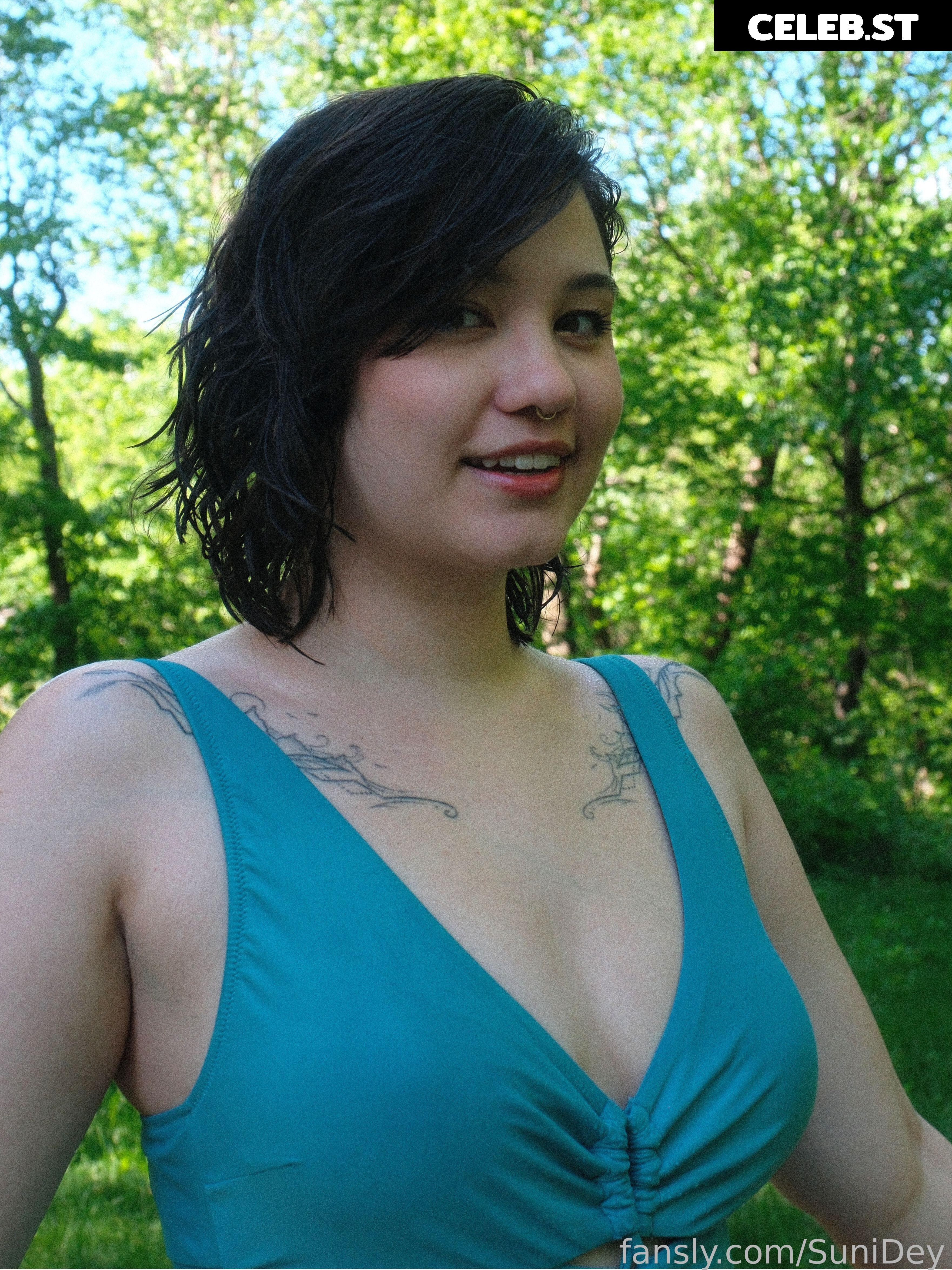 Sunidey Image 23340351