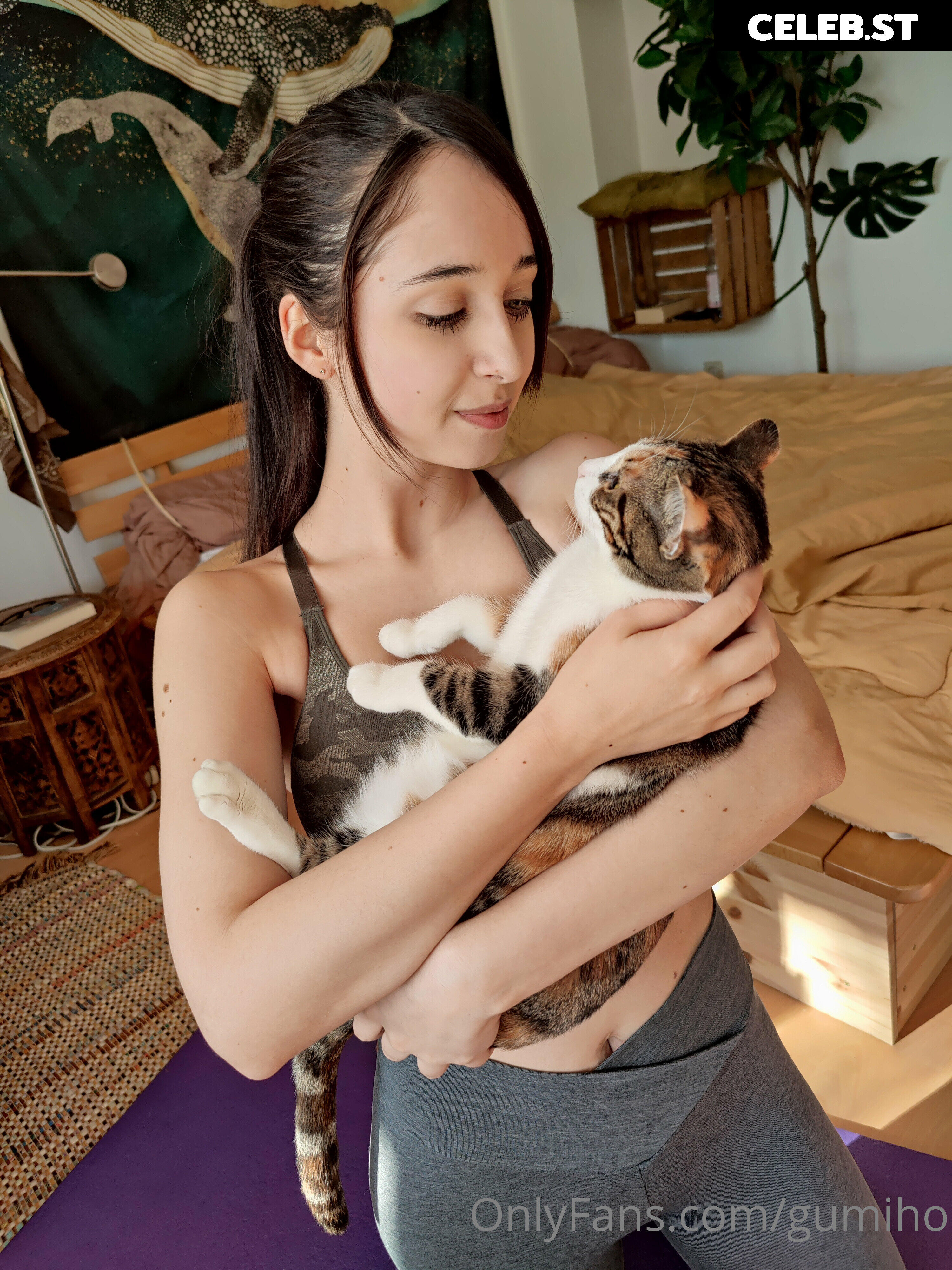 Gumiho Image 23331387