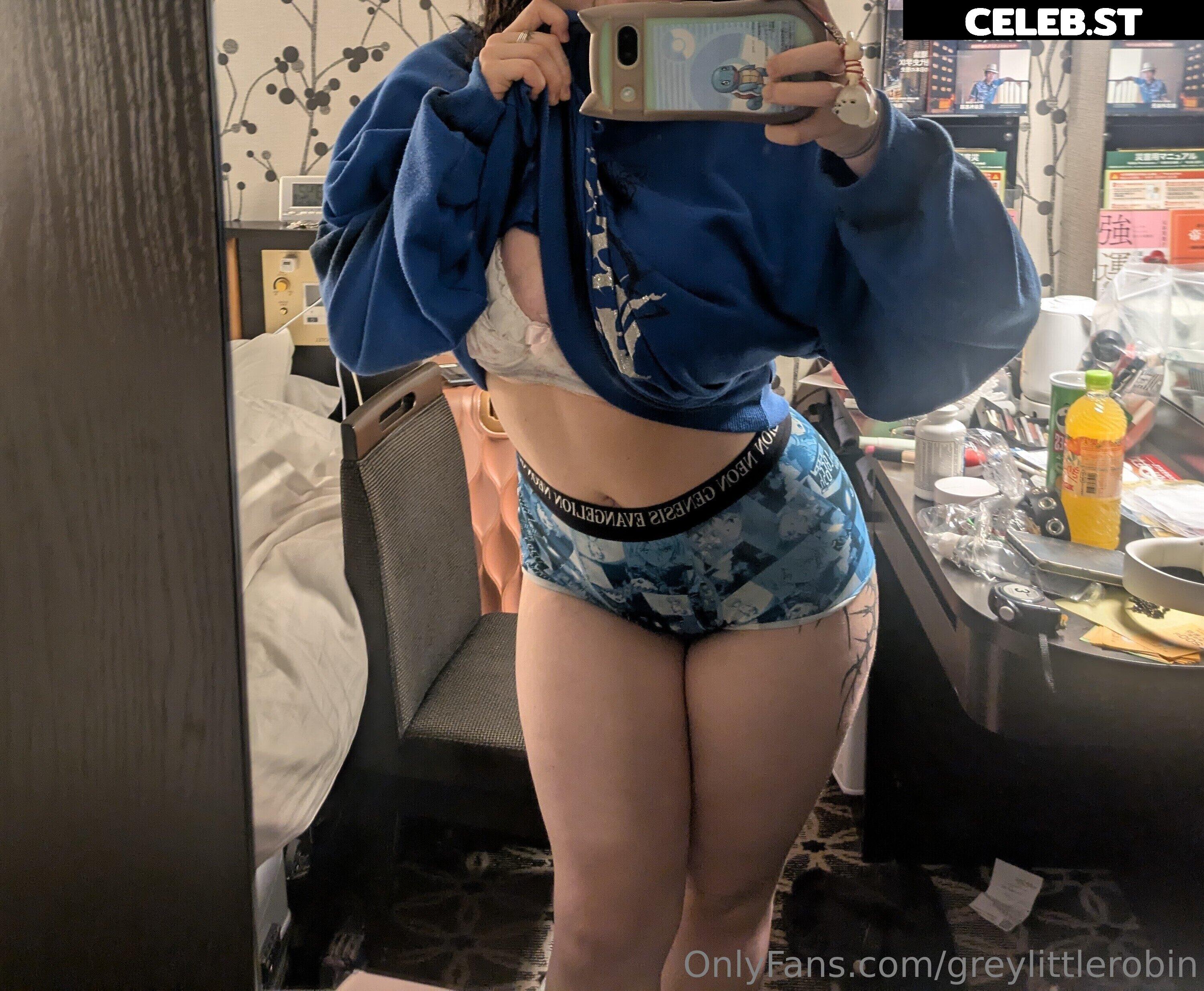 mylittlerobin | greylittlerobin | Robin Grey Image 23305197