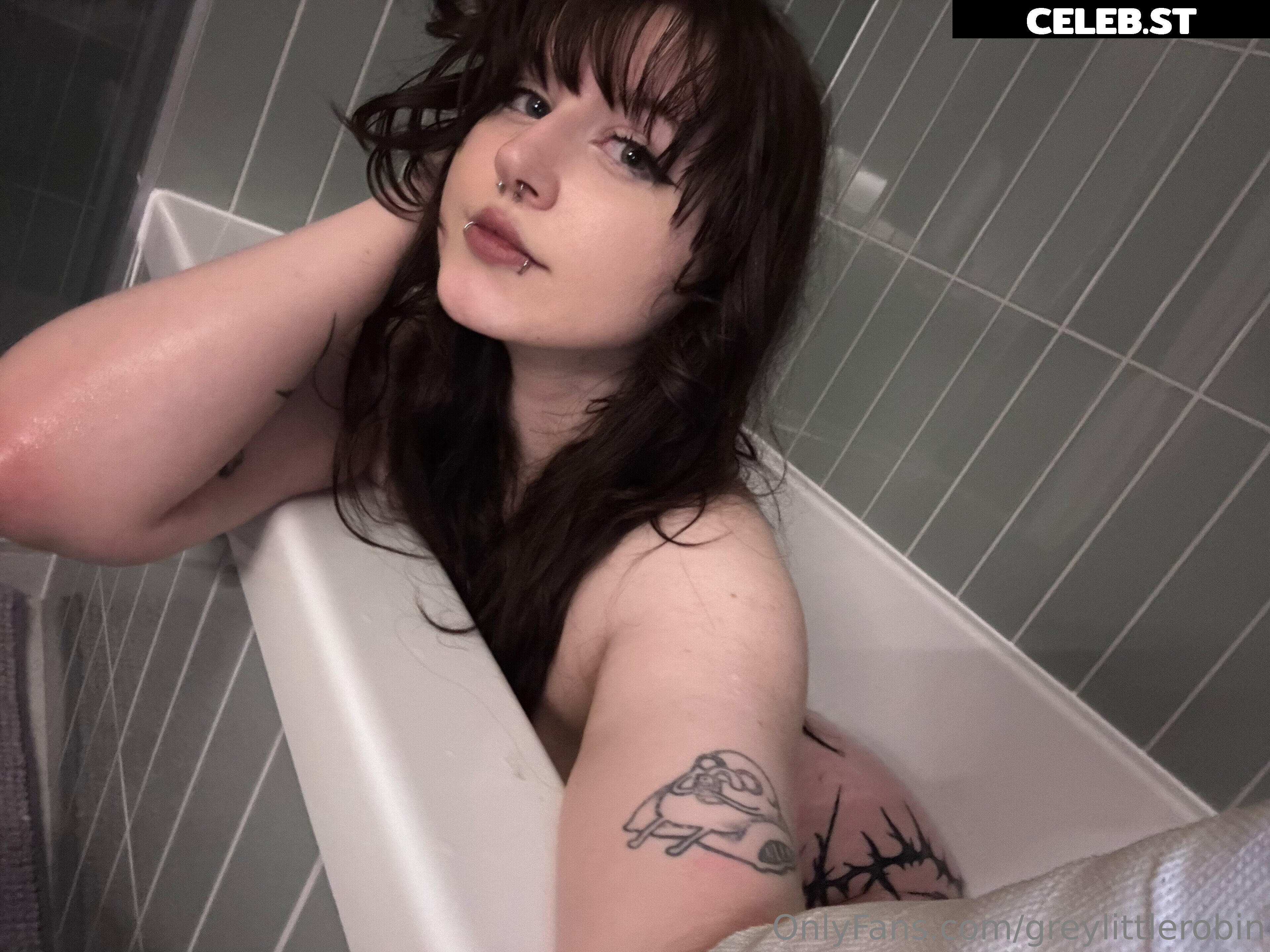 mylittlerobin | greylittlerobin | Robin Grey Image 23305110