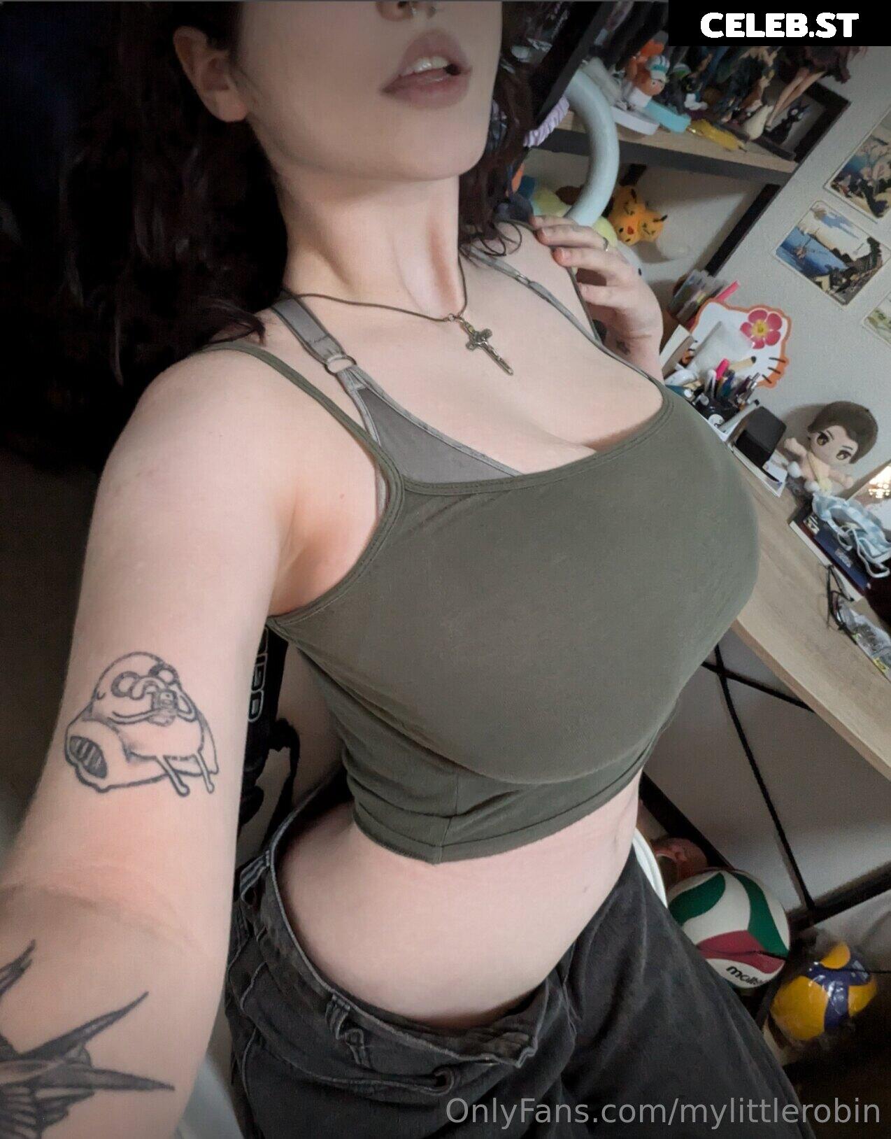 mylittlerobin | greylittlerobin | Robin Grey Image 23305166