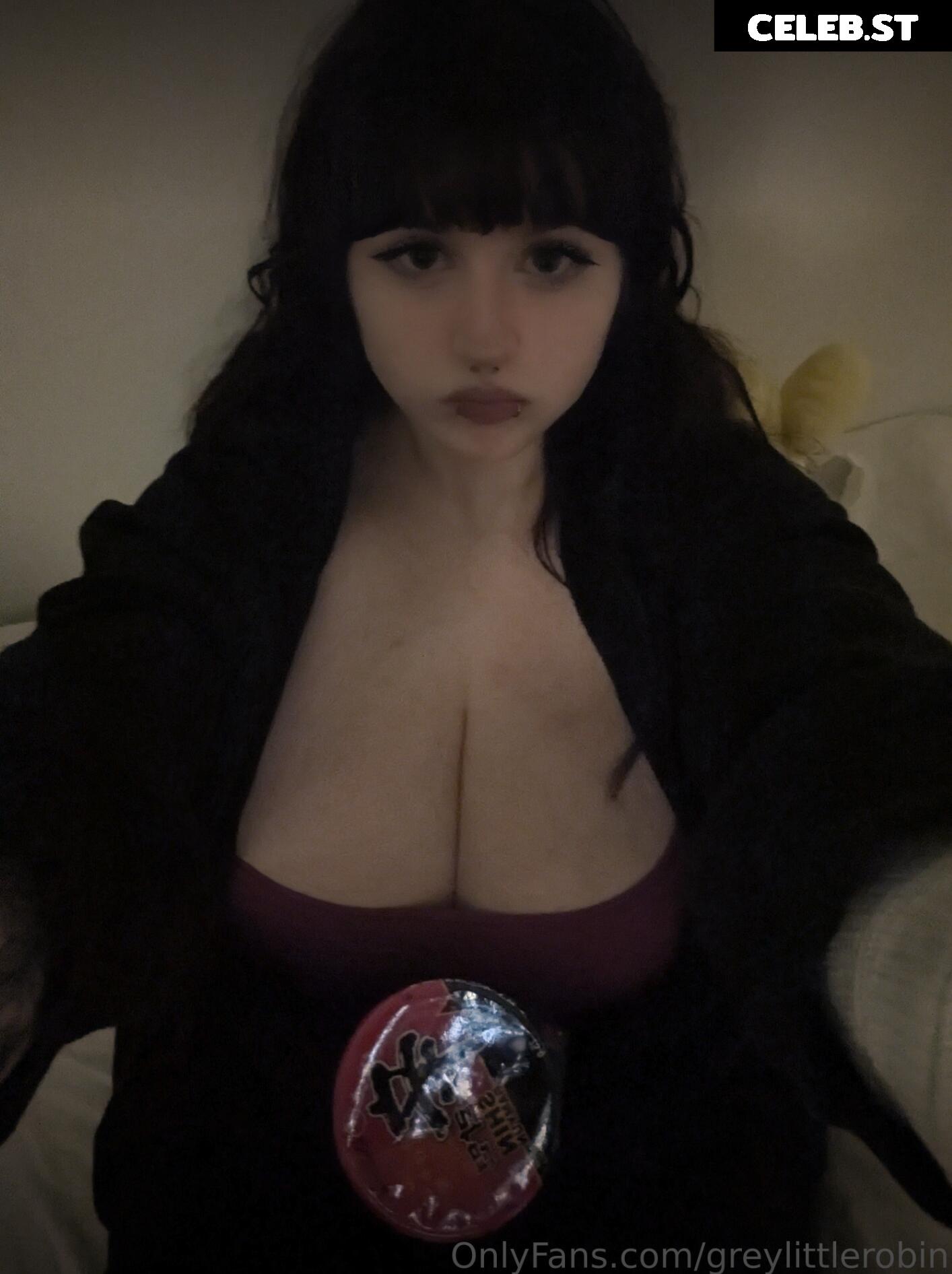 mylittlerobin | greylittlerobin | Robin Grey Image 23305140