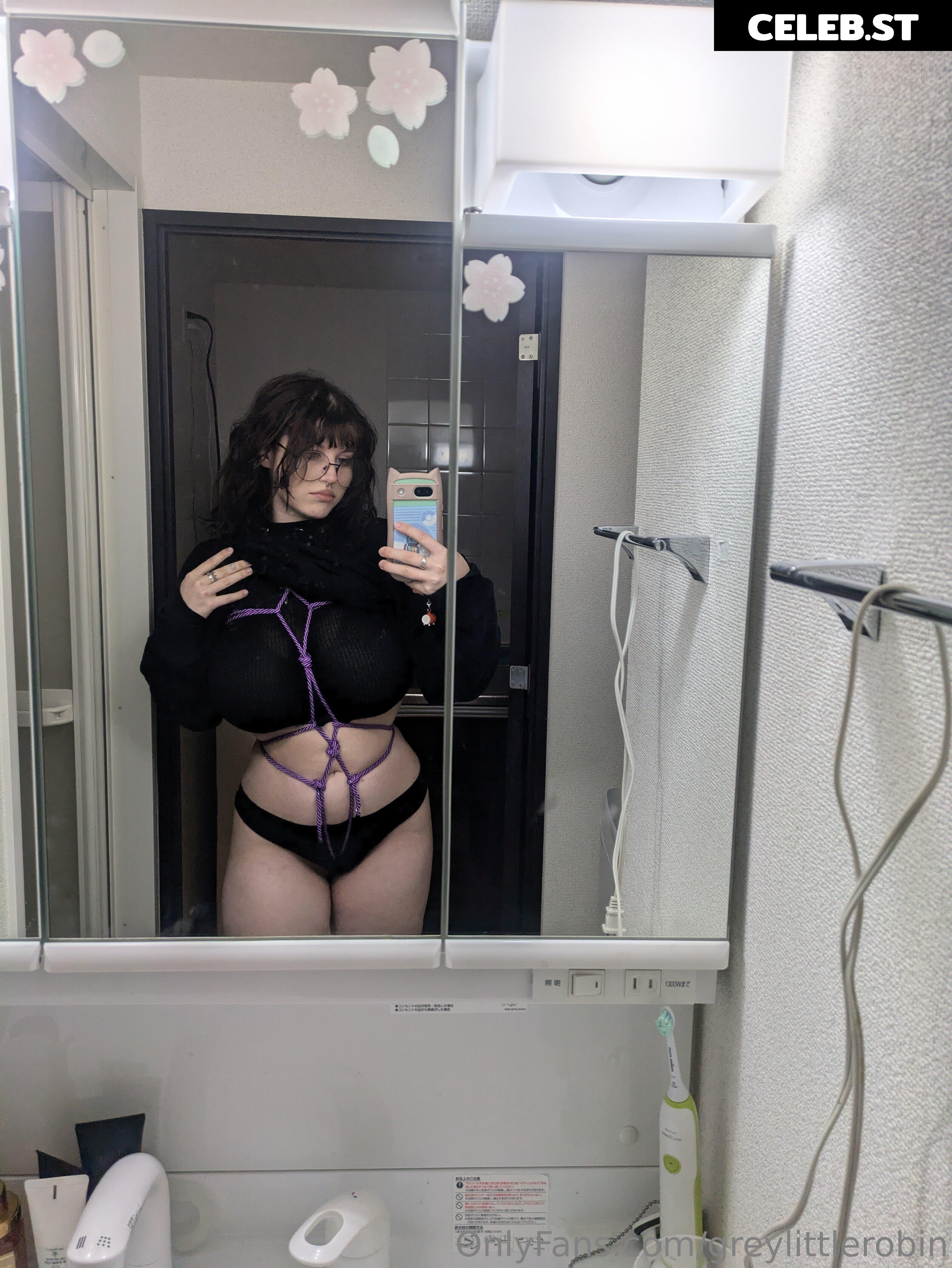 mylittlerobin | greylittlerobin | Robin Grey Image 23305027