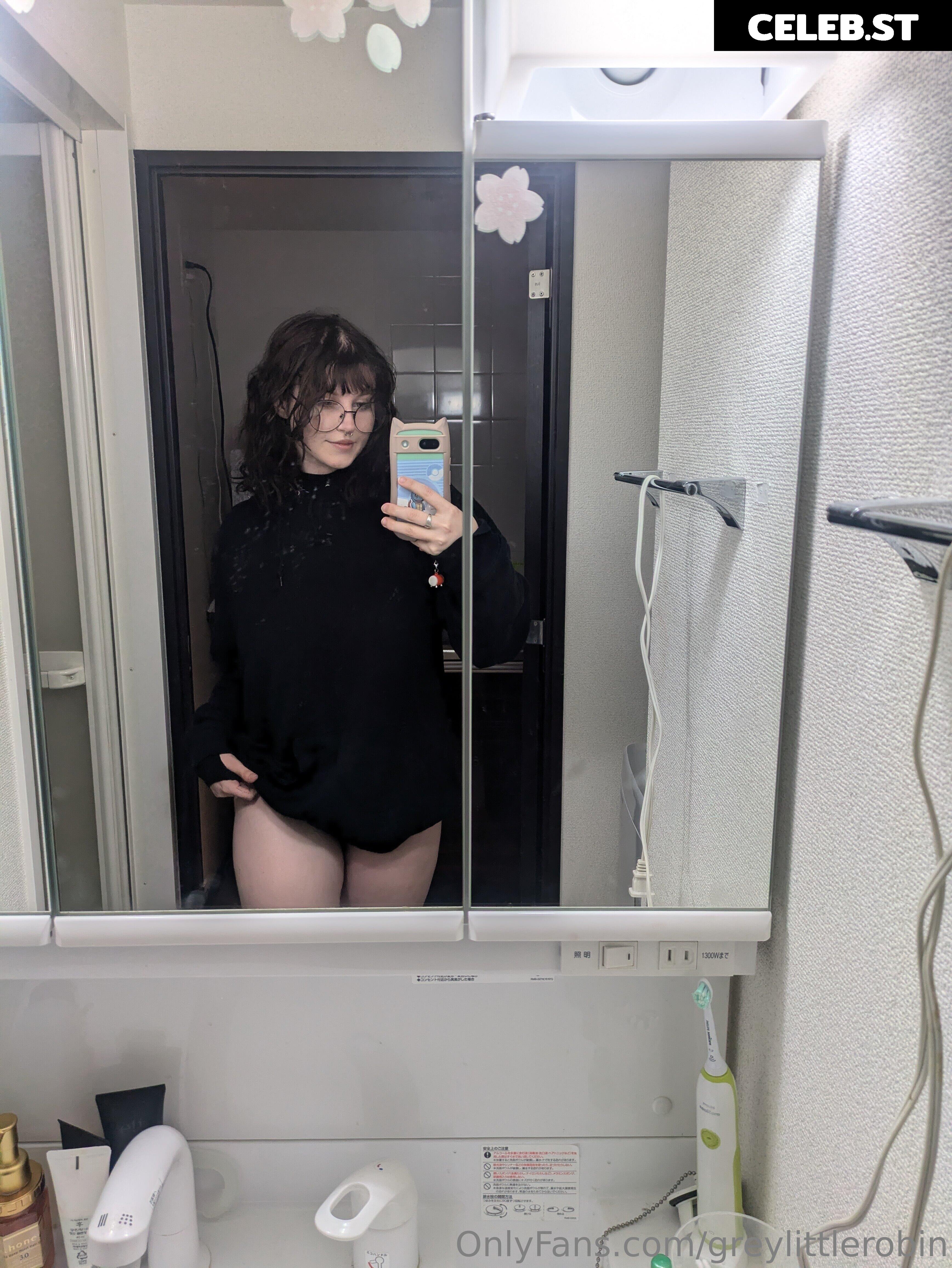 mylittlerobin | greylittlerobin | Robin Grey Image 23305028
