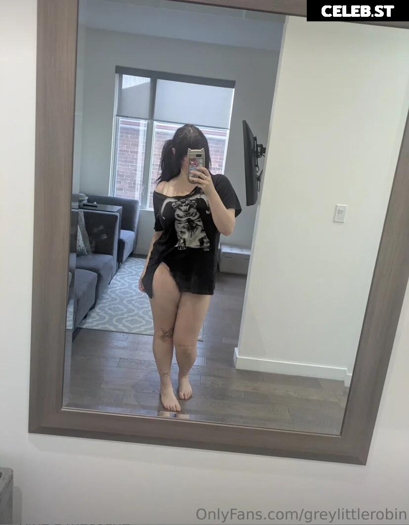 mylittlerobin | greylittlerobin | Robin Grey Image 23305016