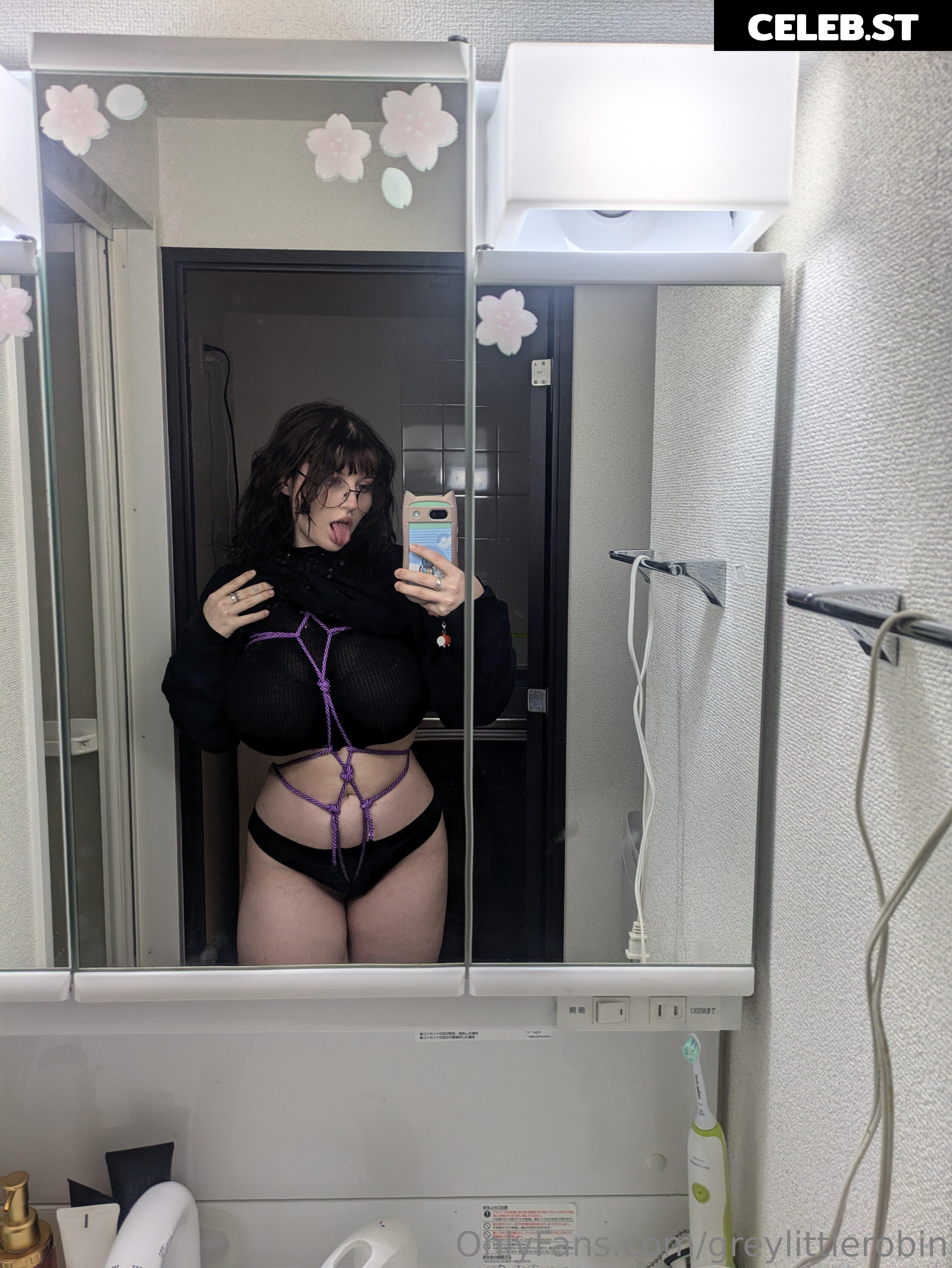 mylittlerobin | greylittlerobin | Robin Grey Image 23305031
