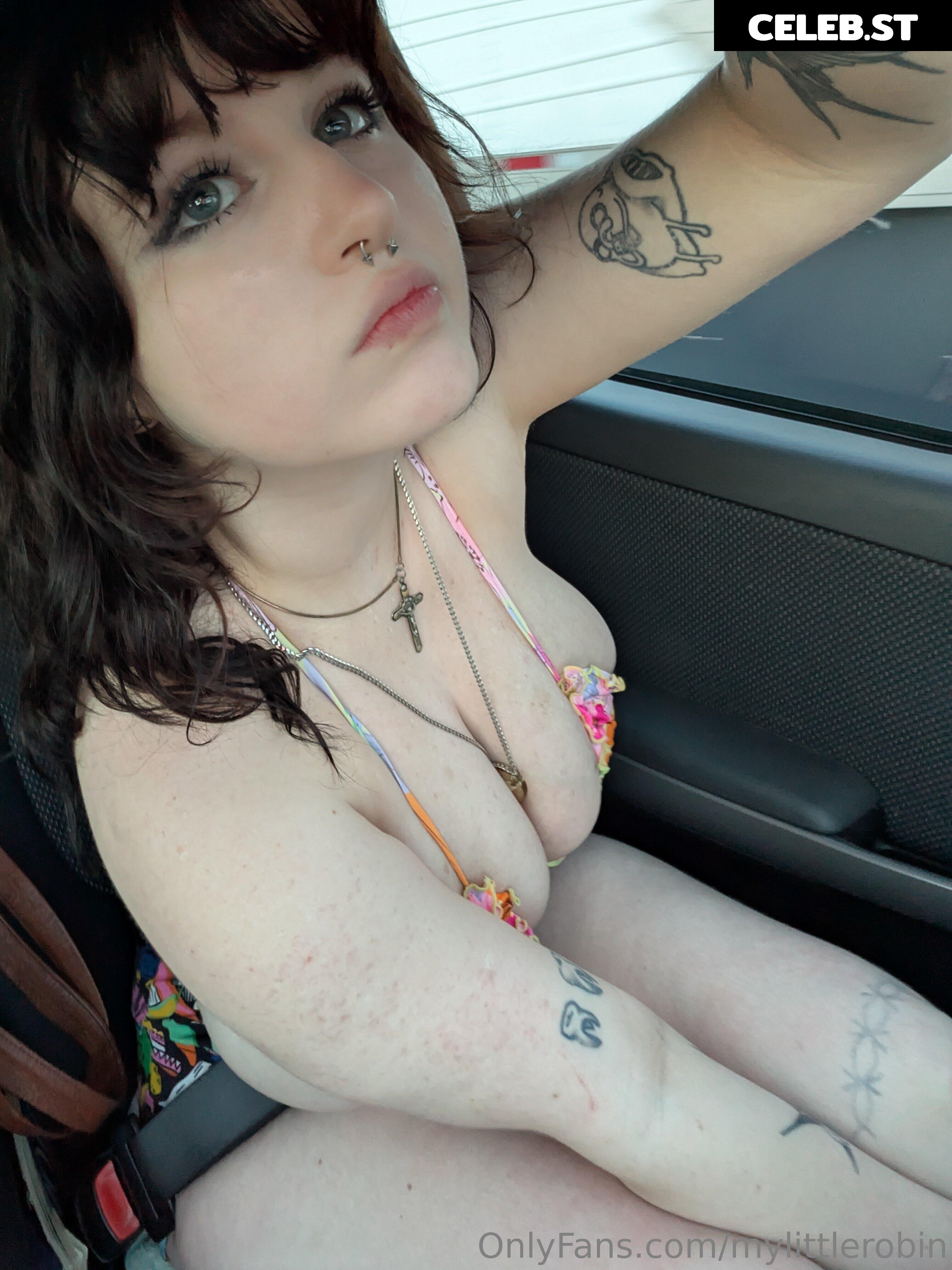 mylittlerobin | greylittlerobin | Robin Grey Image 23305053