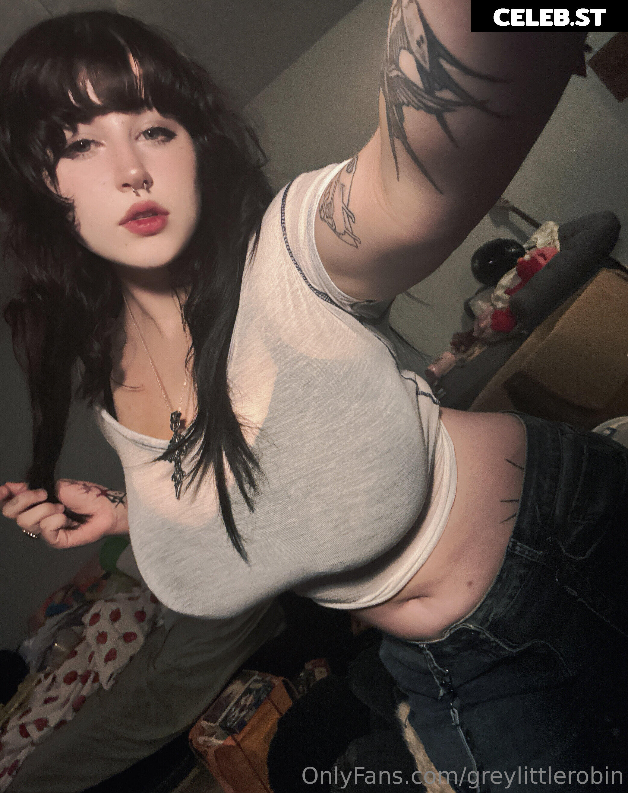mylittlerobin | greylittlerobin | Robin Grey Image 23304991