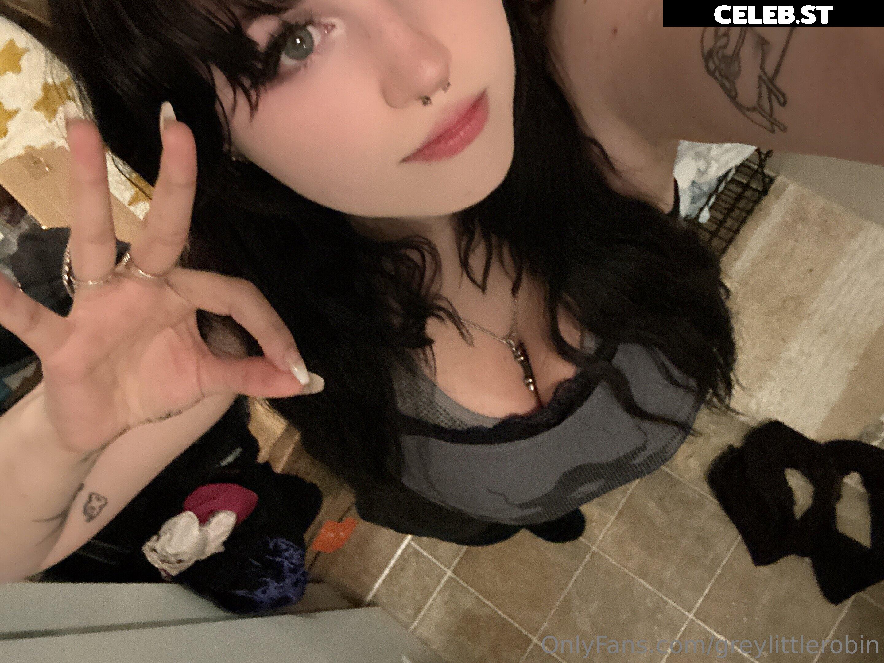 mylittlerobin | greylittlerobin | Robin Grey Image 23304955