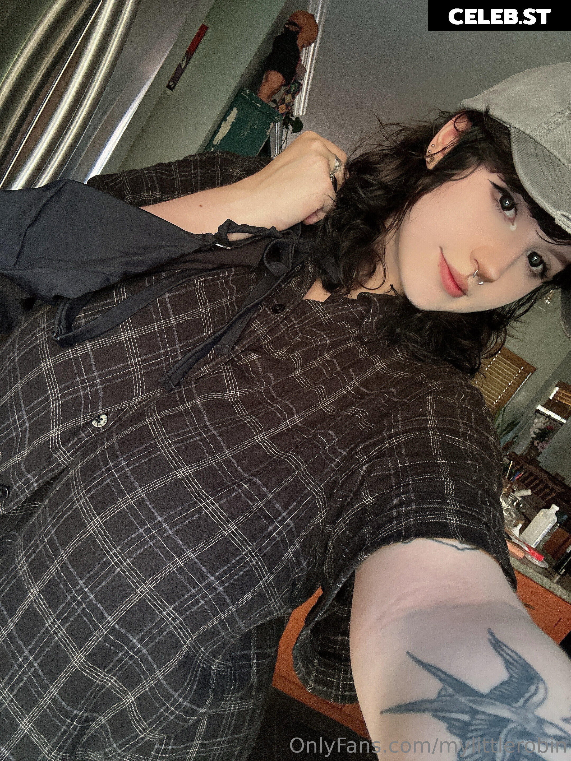 mylittlerobin | greylittlerobin | Robin Grey Image 23304942
