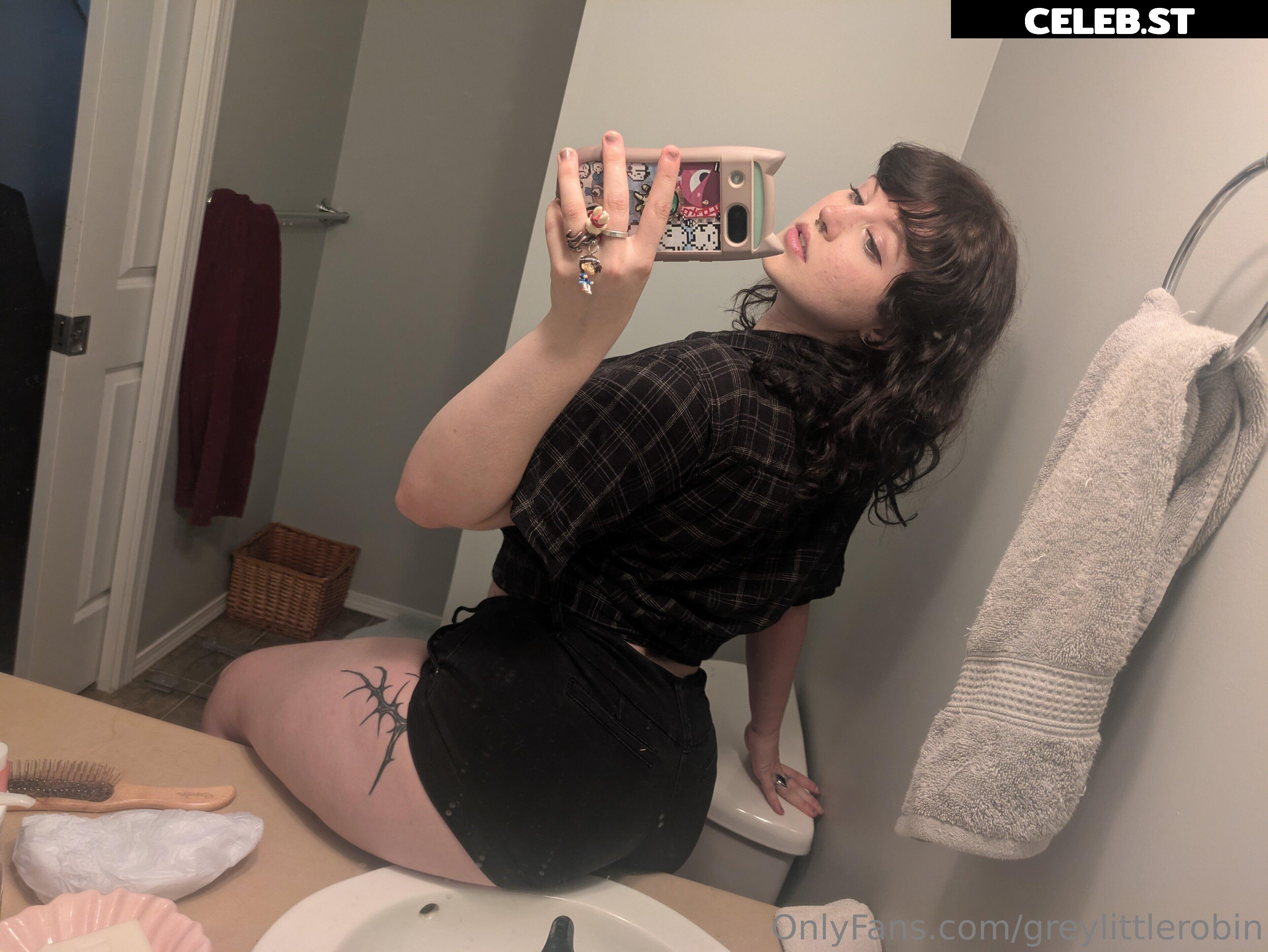 mylittlerobin | greylittlerobin | Robin Grey Image 23304947