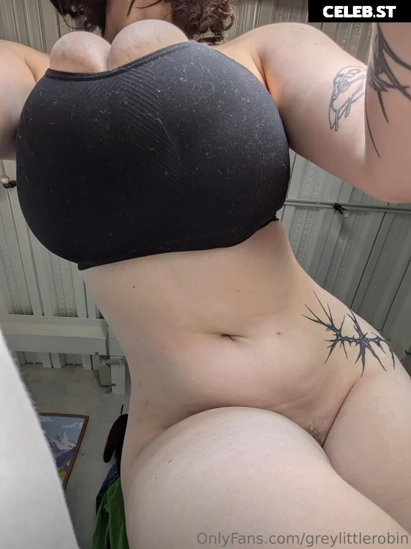 mylittlerobin | greylittlerobin | Robin Grey Image 23304979