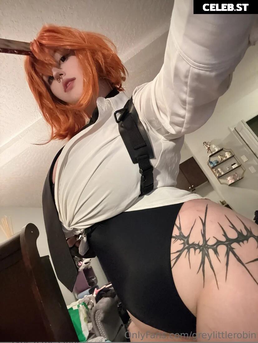 mylittlerobin | greylittlerobin | Robin Grey Image 23304898