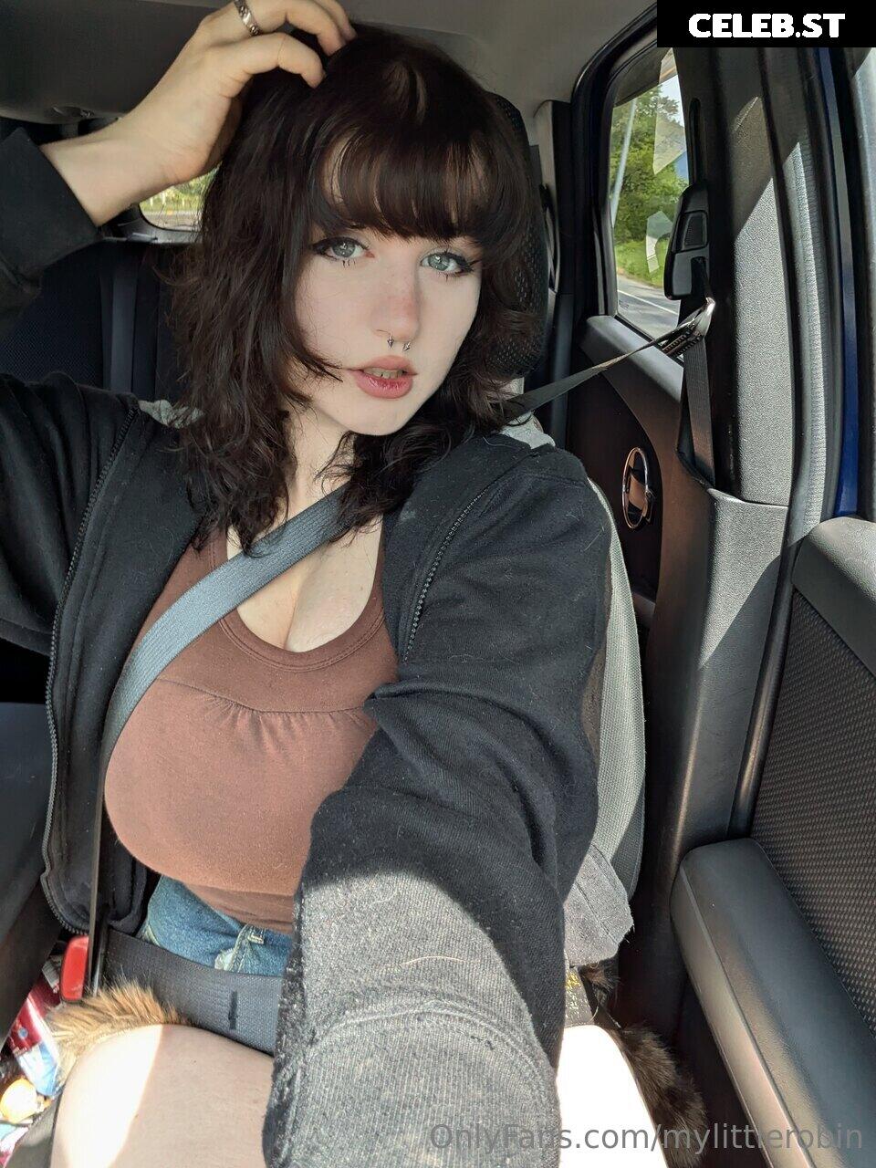 mylittlerobin | greylittlerobin | Robin Grey Image 23304889