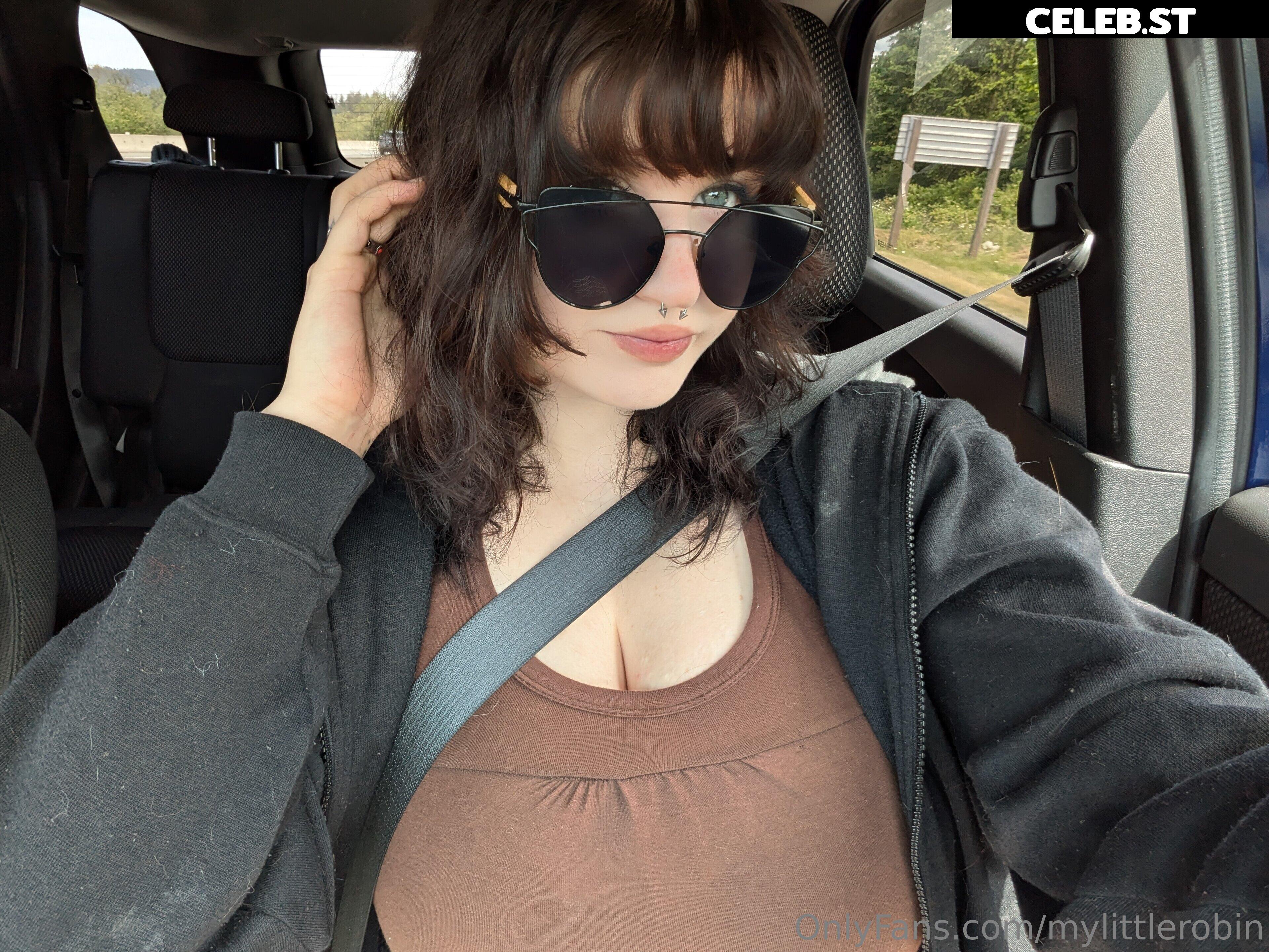 mylittlerobin | greylittlerobin | Robin Grey Image 23304813