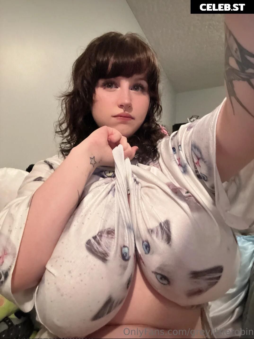 mylittlerobin | greylittlerobin | Robin Grey Image 23304819