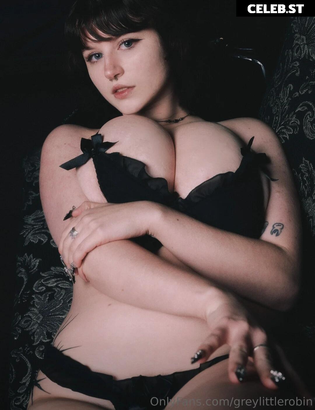 mylittlerobin | greylittlerobin | Robin Grey Image 23304833