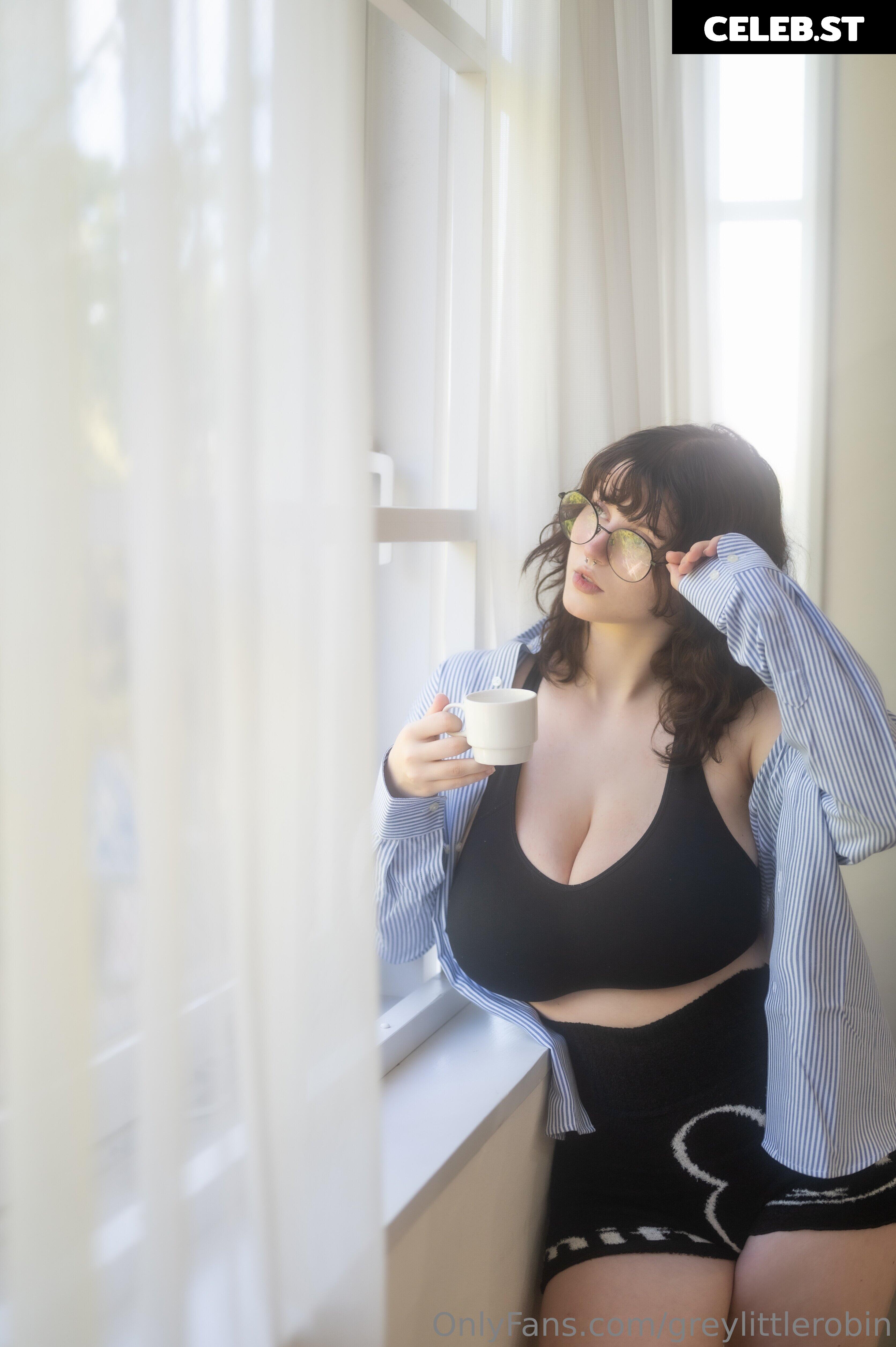 mylittlerobin | greylittlerobin | Robin Grey Image 23304781