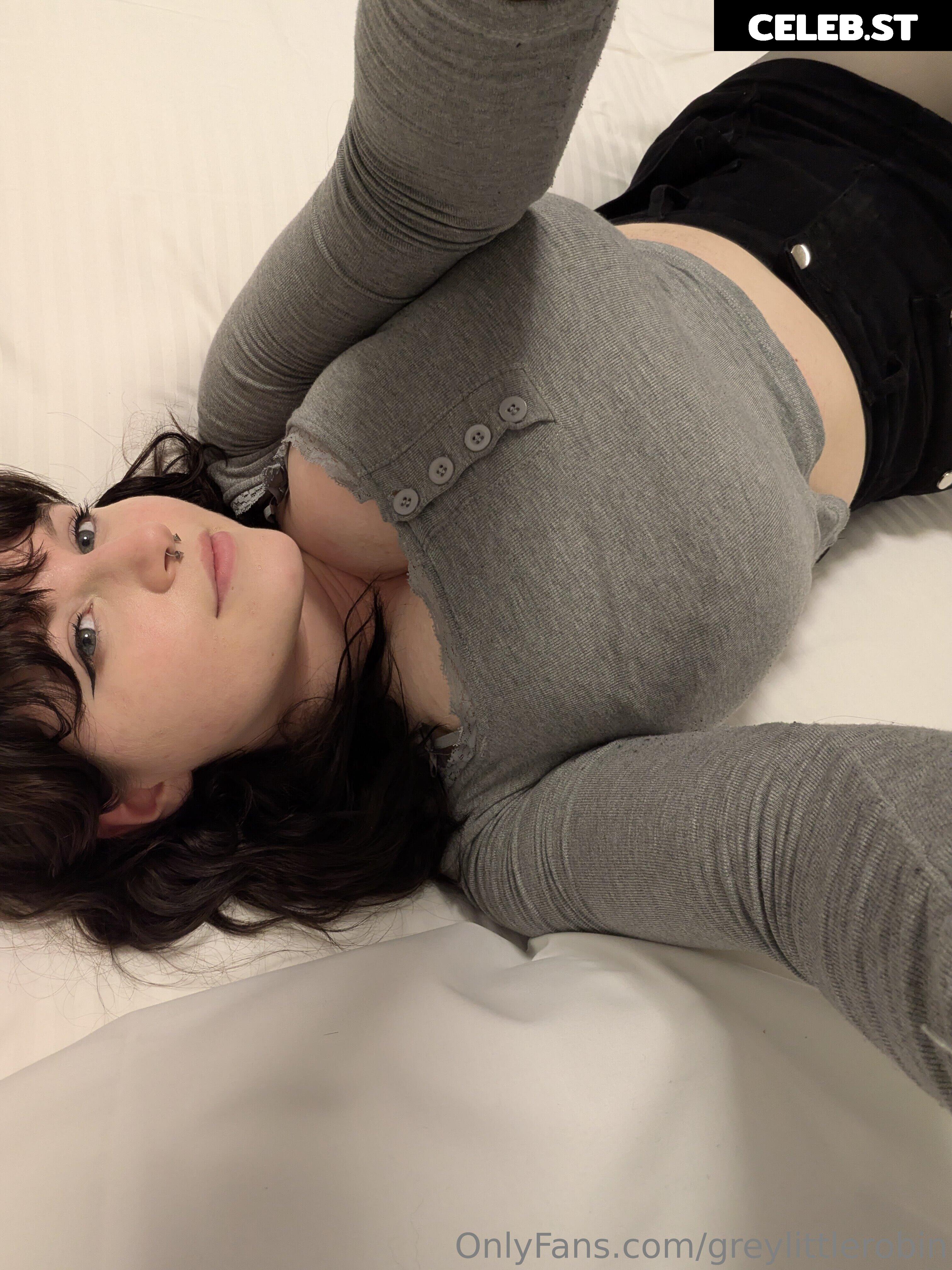 mylittlerobin | greylittlerobin | Robin Grey Image 23304703