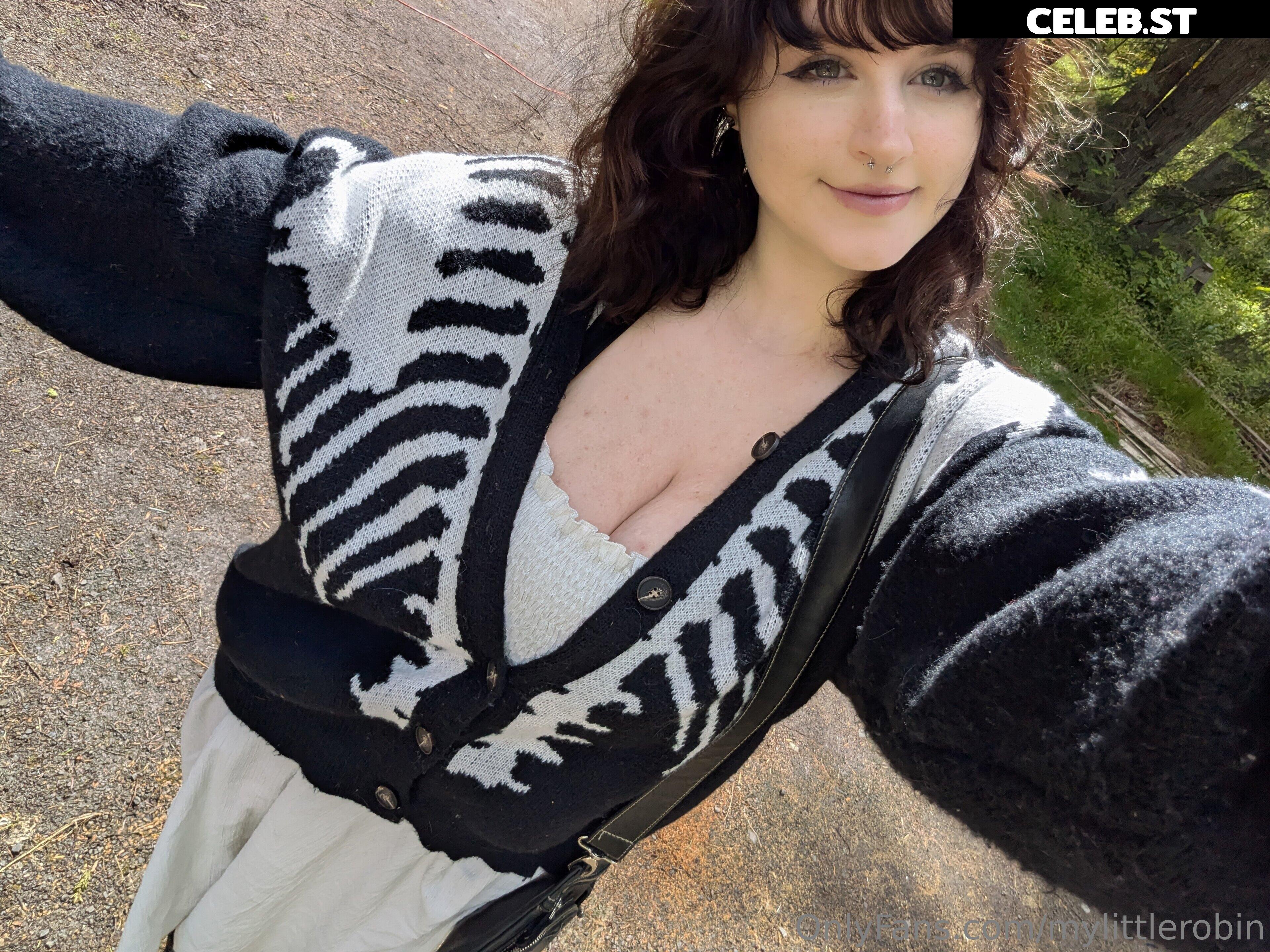 mylittlerobin | greylittlerobin | Robin Grey Image 23304751