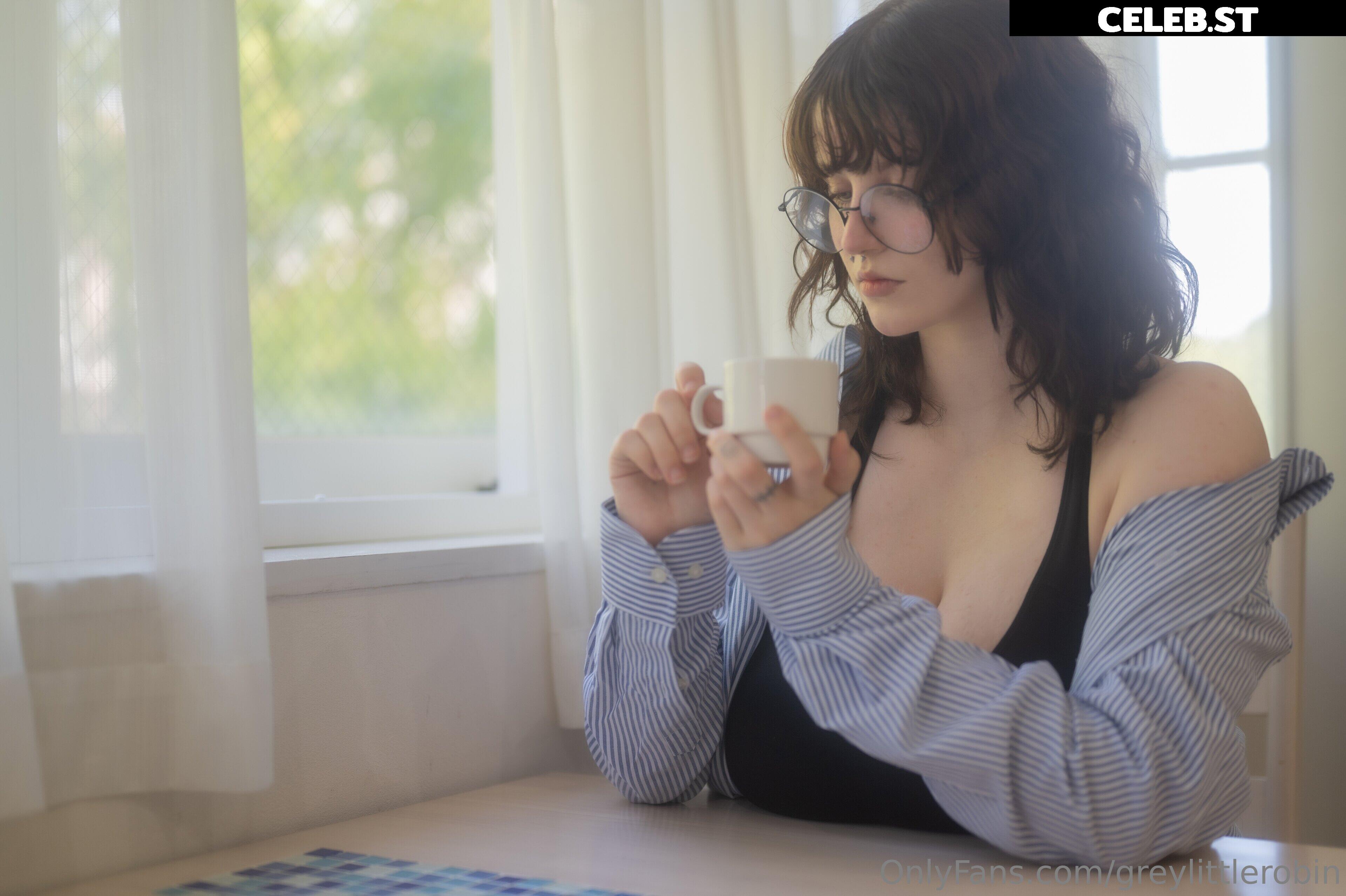 mylittlerobin | greylittlerobin | Robin Grey Image 23304774