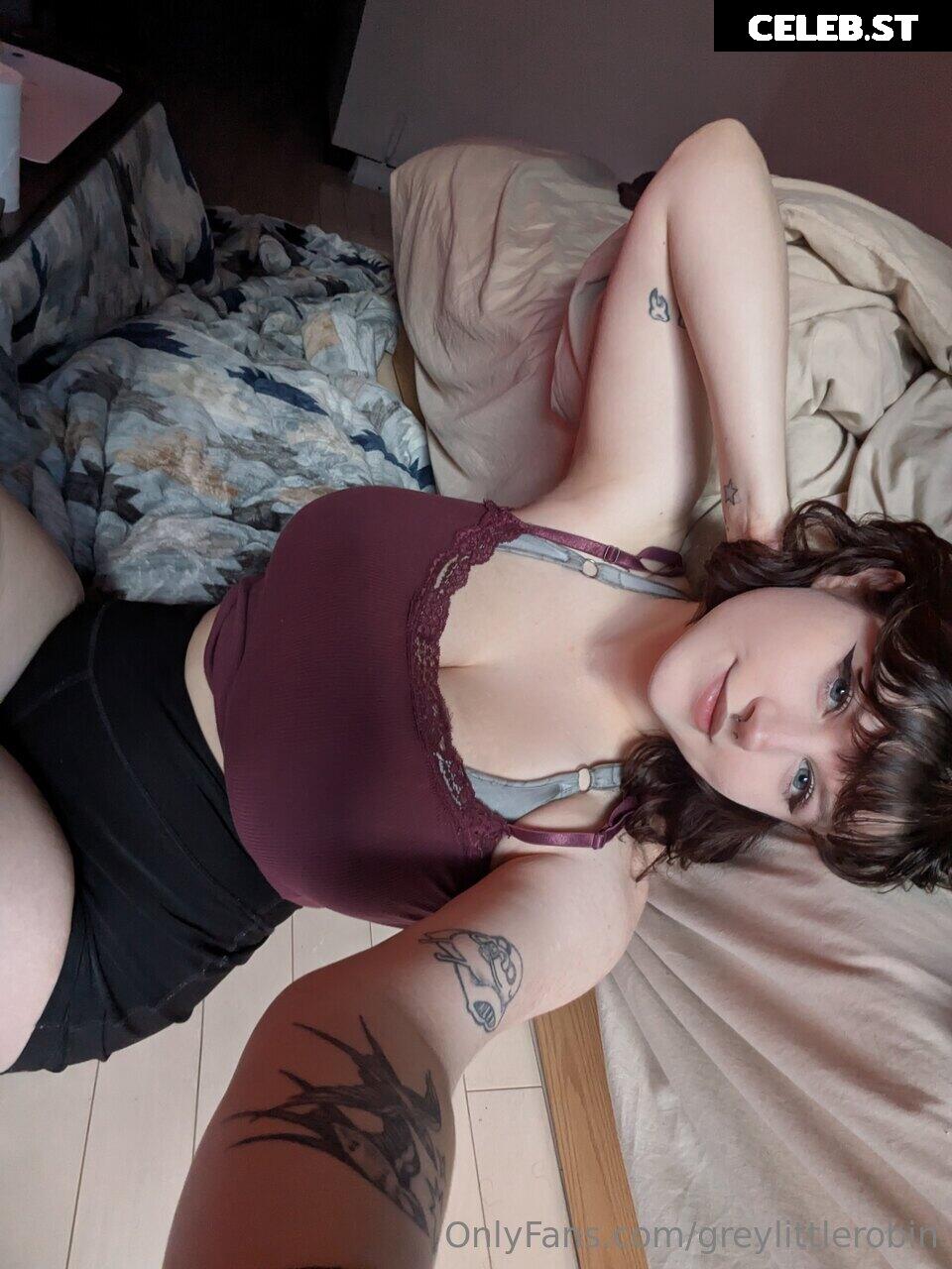 mylittlerobin | greylittlerobin | Robin Grey Image 23304625
