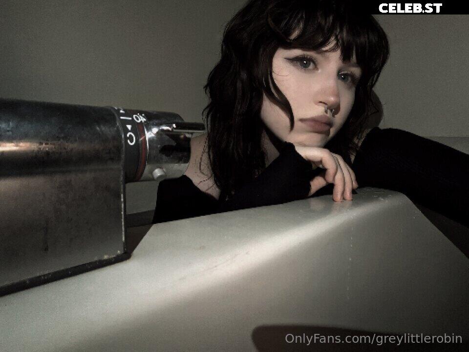 mylittlerobin | greylittlerobin | Robin Grey Image 23304639