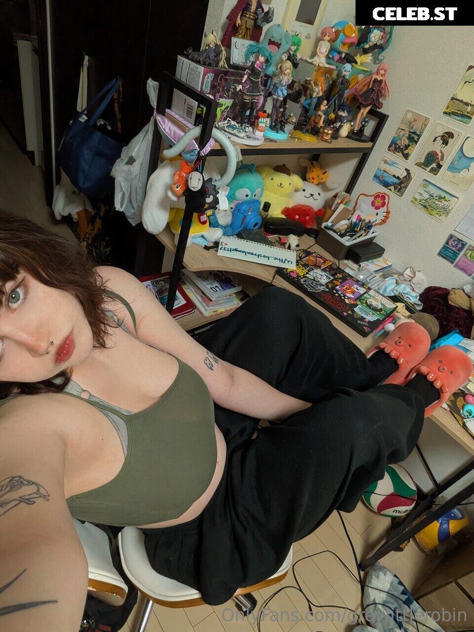 mylittlerobin | greylittlerobin | Robin Grey Image 23304640