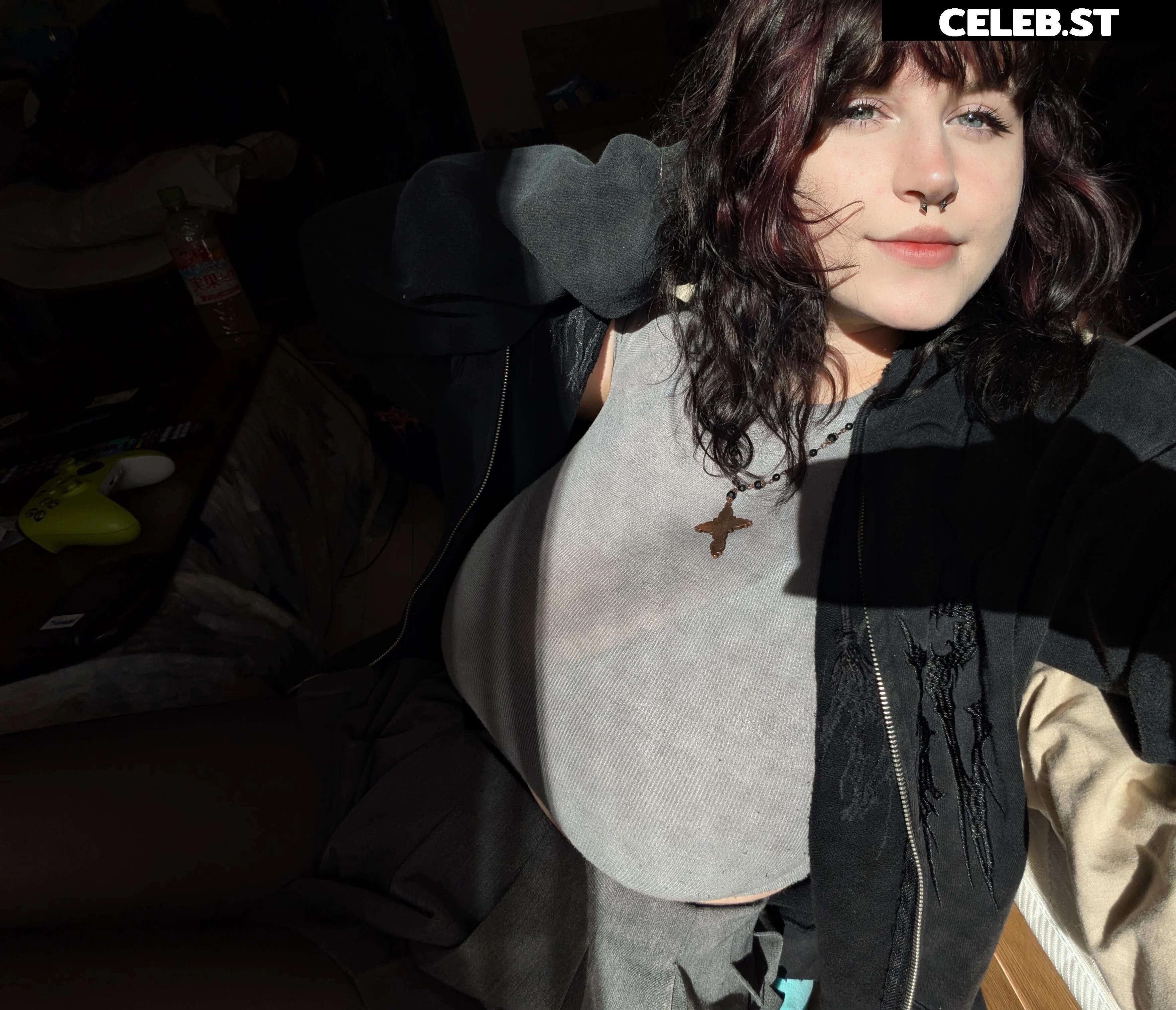 mylittlerobin | greylittlerobin | Robin Grey Image 23304679