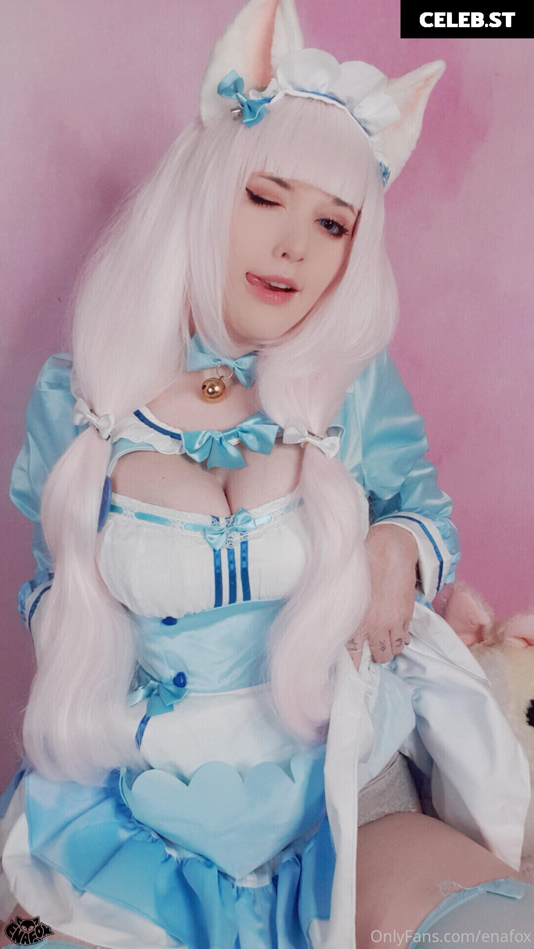 Enafox Image 2330233