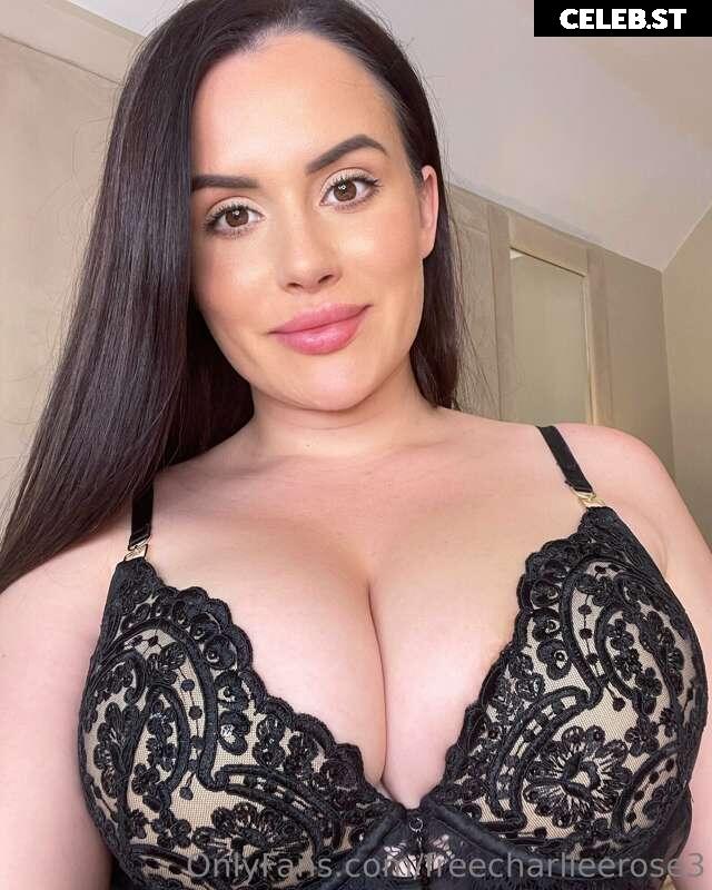 Charlie Rose Image 2339502