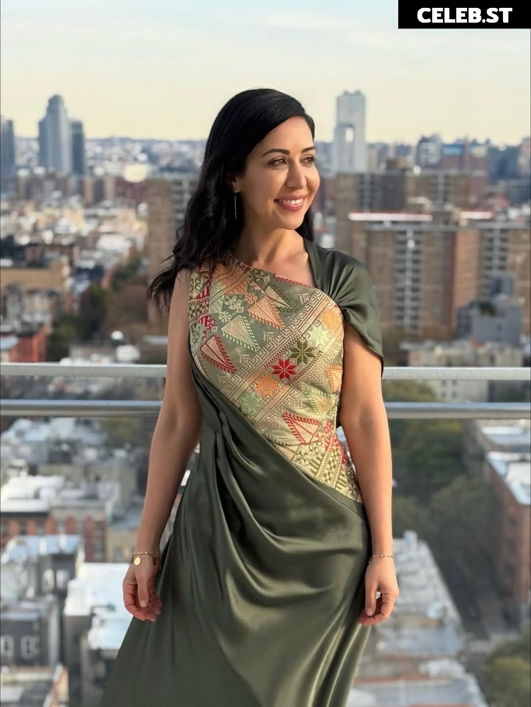 Dena Takruri - Palestinian-American reporter Image 23390109
