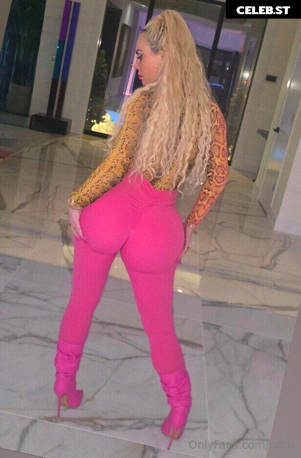 Nicole "Coco" Austin Image 23381159