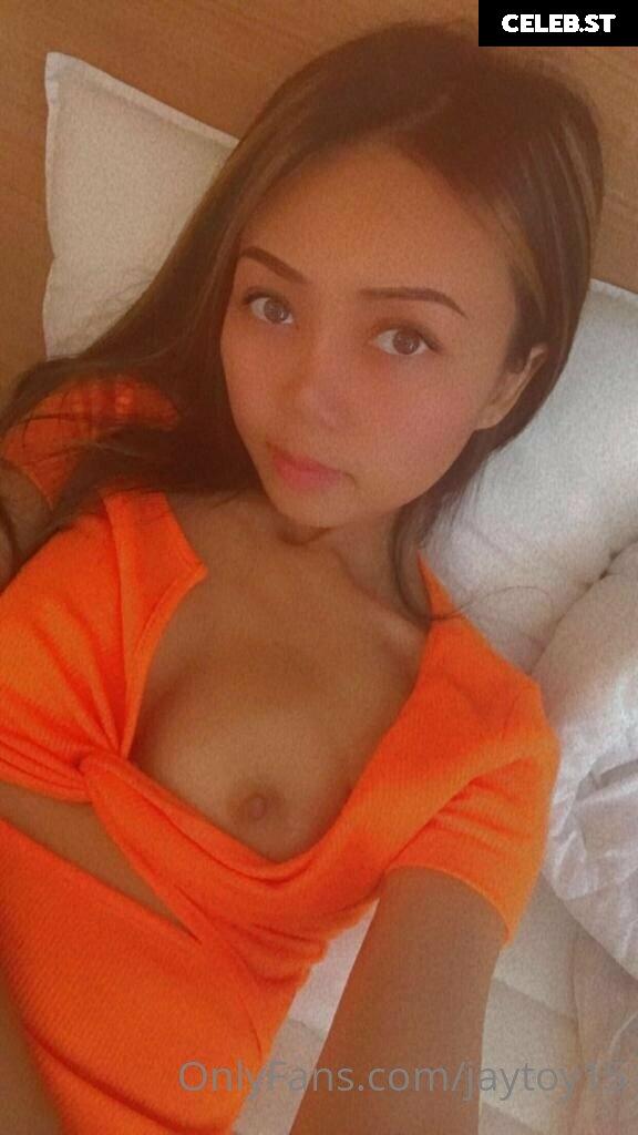 JayToy15 Image 233896