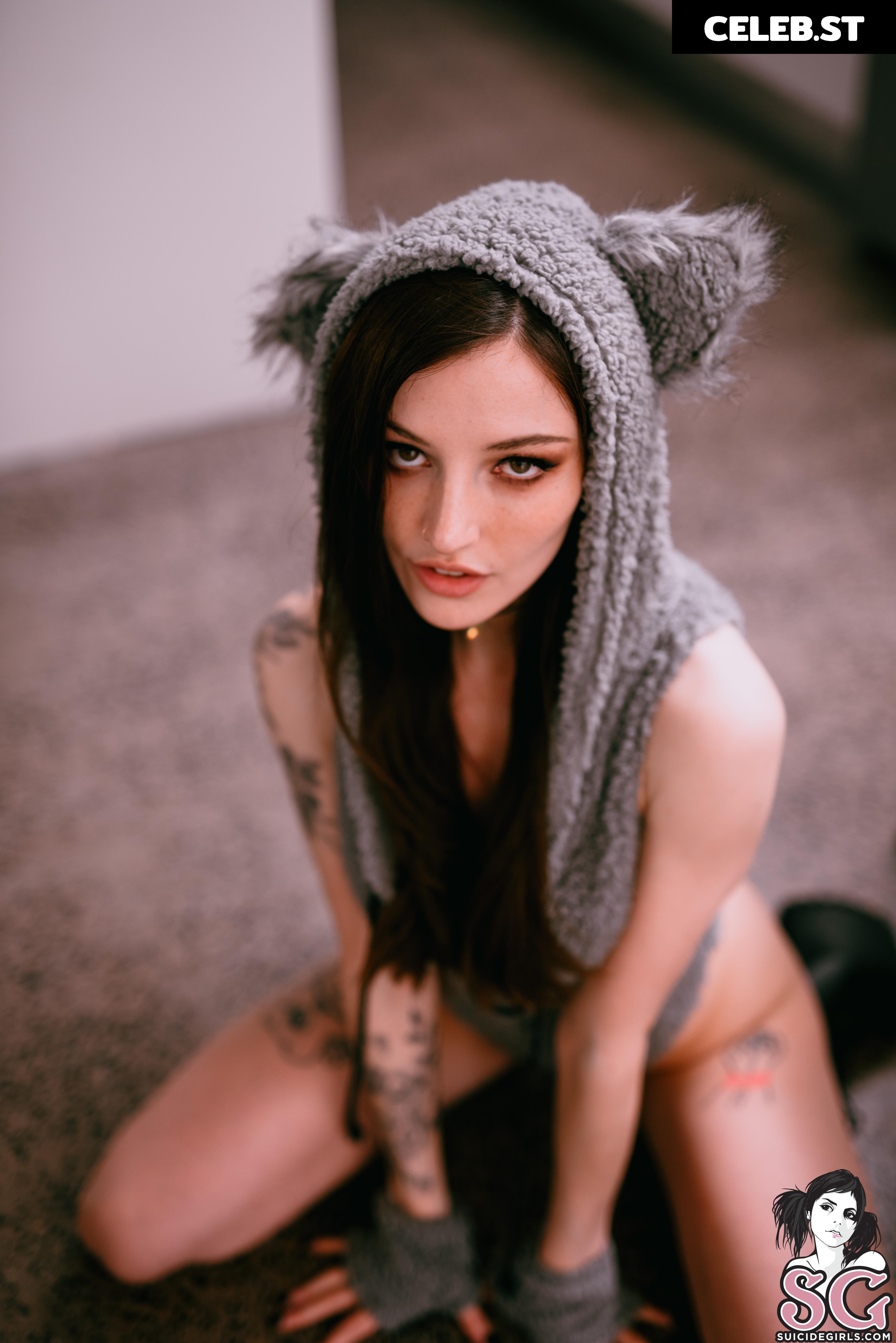 Dainty Wilder Image 23261463
