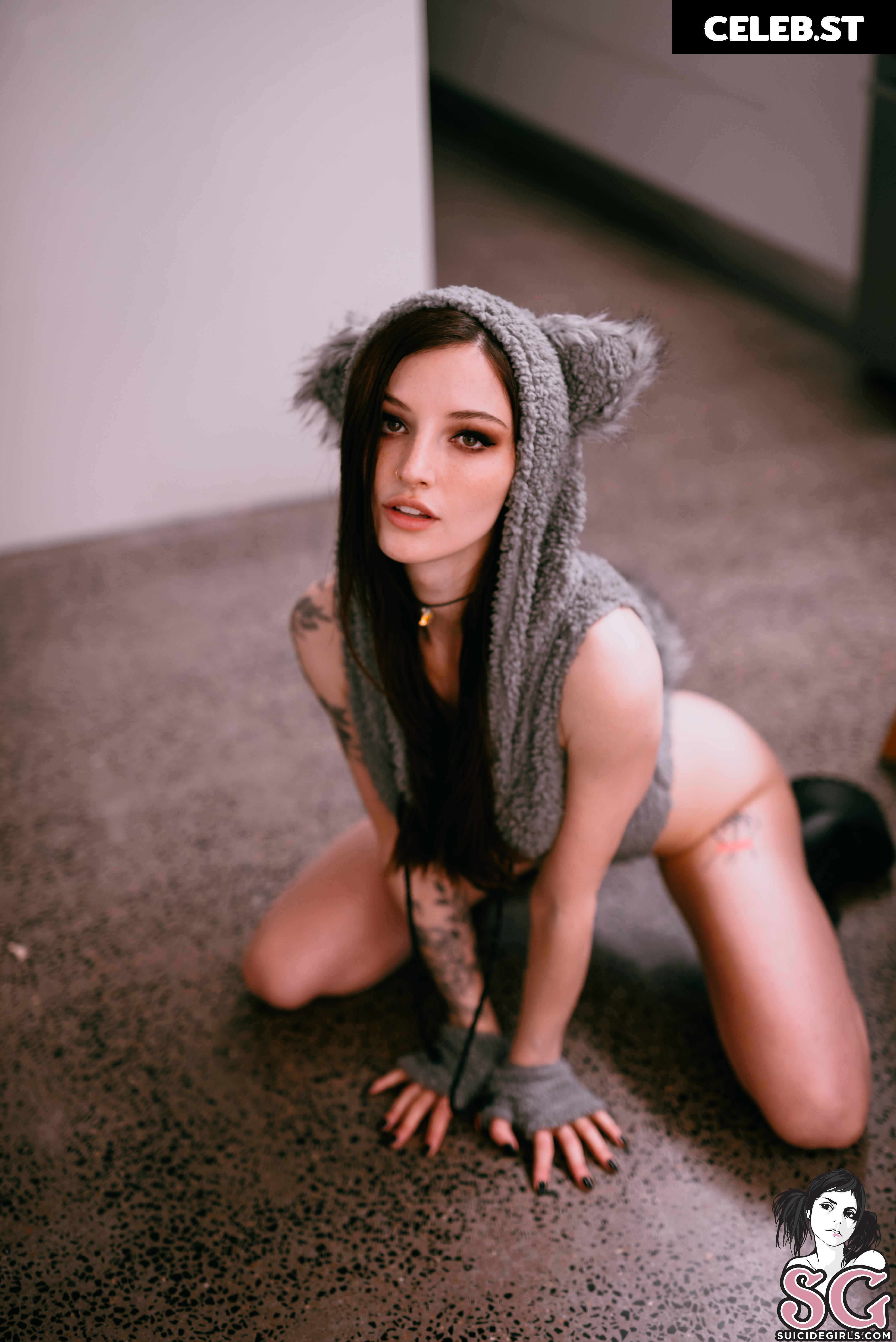 Dainty Wilder Image 23261464