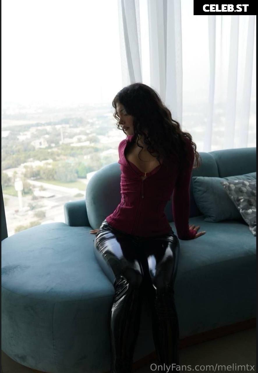 MelimTX Image 2327583